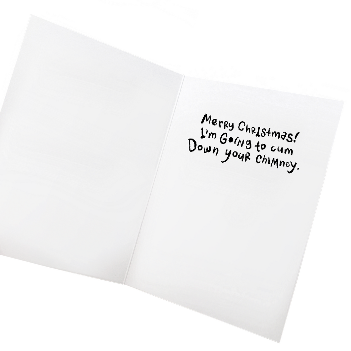 Funny Christmas Card / Let's Get On Santa's Naughty List - Sleazy Greetings