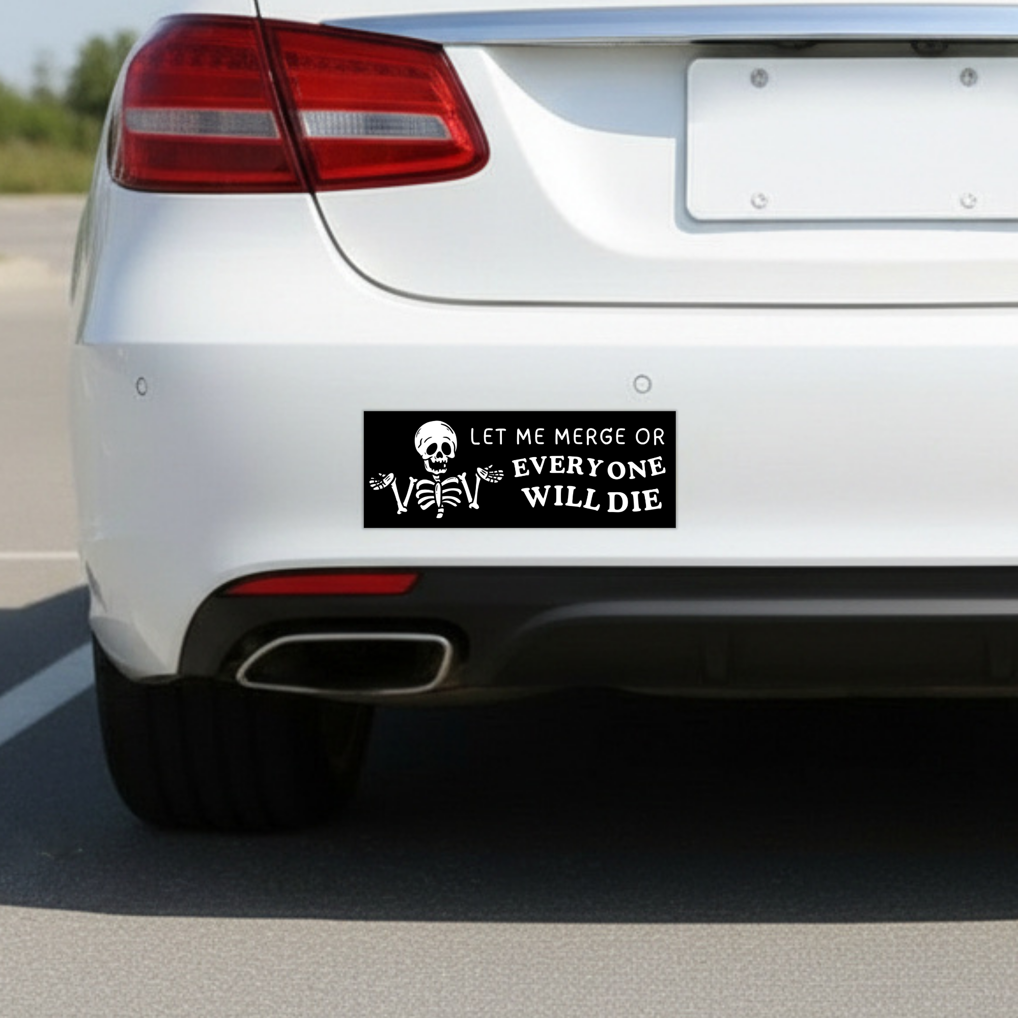 Everyone Will Die Skeleton | Funny Car Magnet