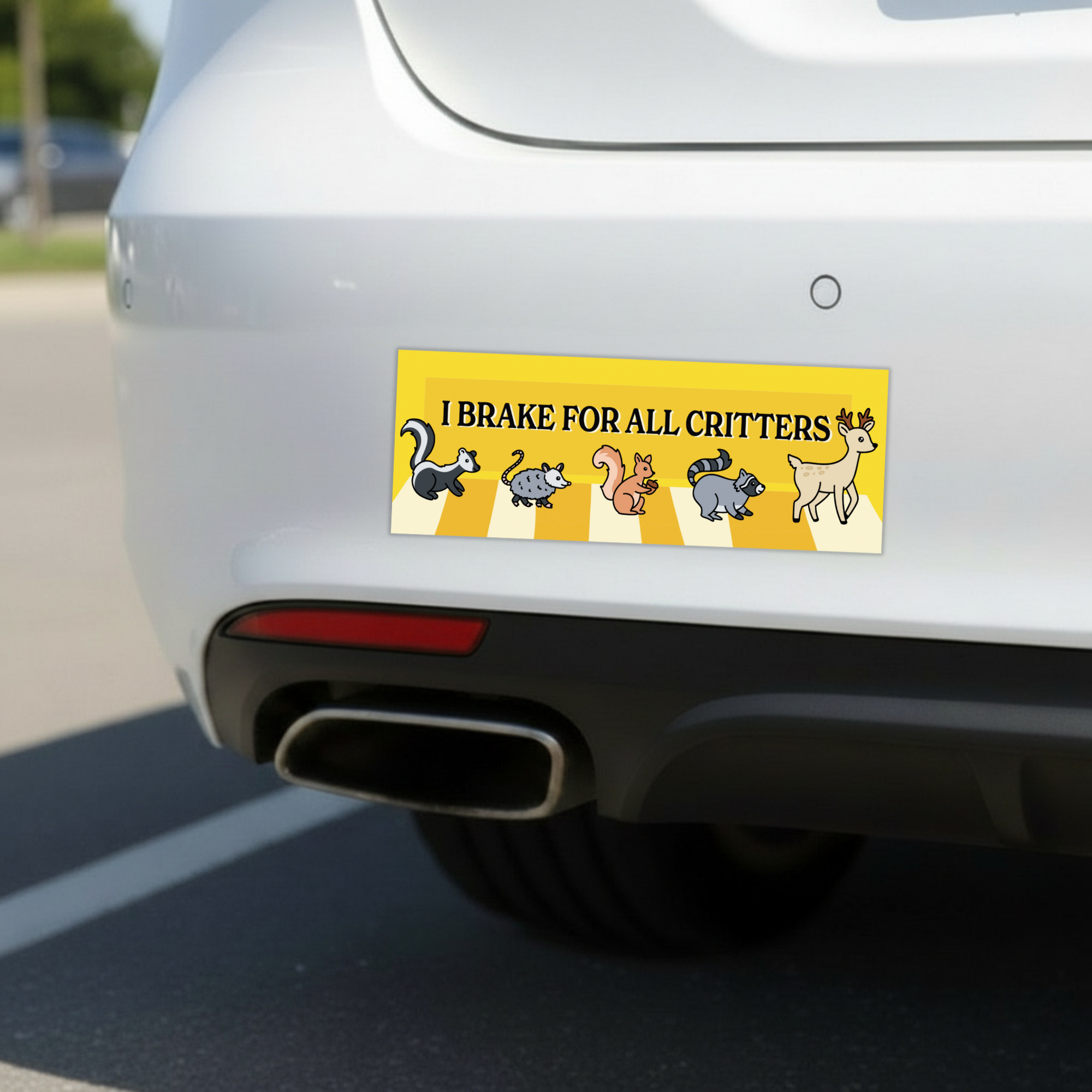 Sleazy Greetings funny bumper magnet displayed on the back of a white car featuring the phrase ‘I Brake For All Critters’ in bold black typography on a bright yellow background with cute illustrated woodland animals crossing a crosswalk, including a skunk, opossum, squirrel, raccoon, and deer. Humorous novelty car magnet with wholesome animal-lover humor and playful illustrated design shown in real-life automotive use.