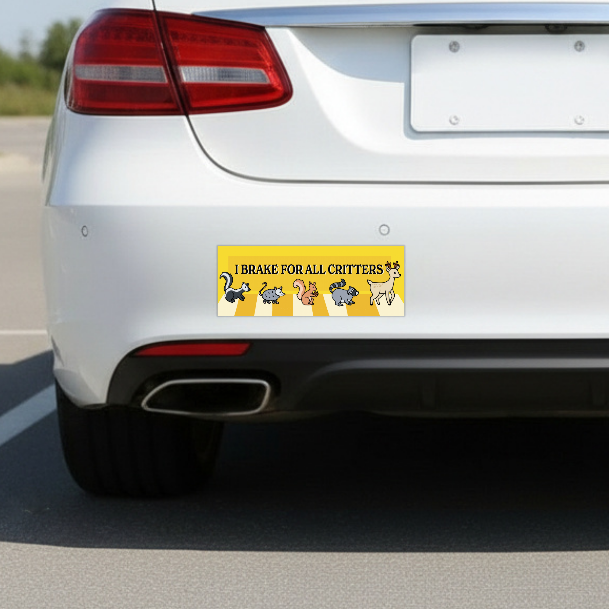 Sleazy Greetings funny bumper magnet displayed on the back of a white car featuring the phrase ‘I Brake For All Critters’ in bold black typography on a bright yellow background with cute illustrated woodland animals crossing a crosswalk, including a skunk, opossum, squirrel, raccoon, and deer. Humorous novelty car magnet with wholesome animal-lover humor and playful illustrated design shown in real-life automotive use.