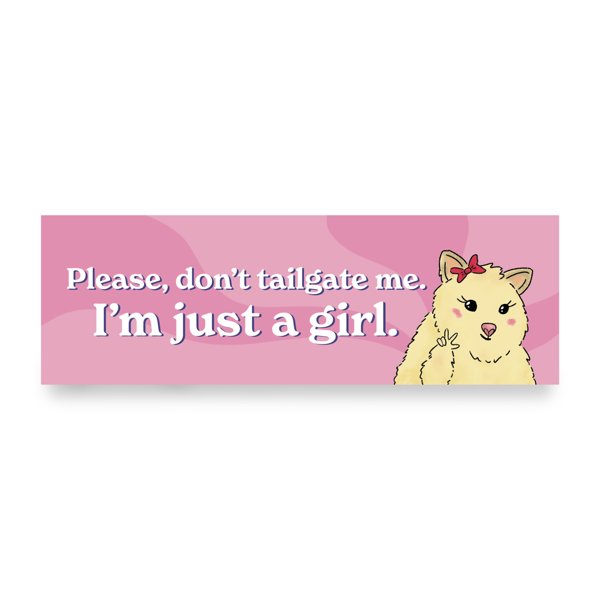 Don't Tailgate Me | Funny Car Magnet