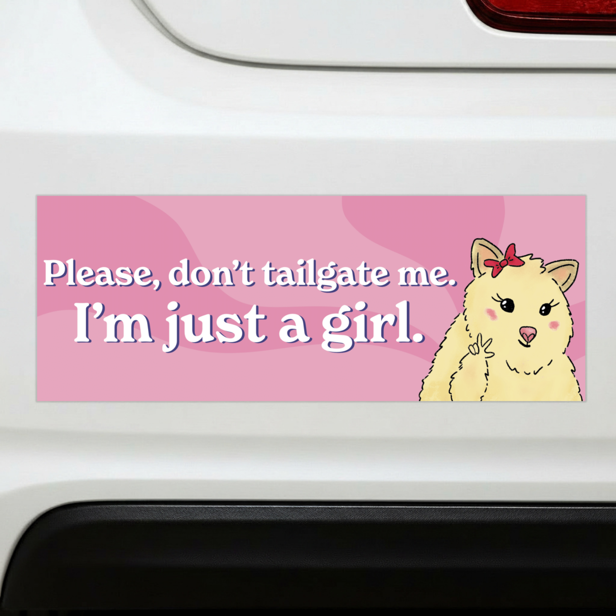 Don't Tailgate Me | Funny Car Magnet