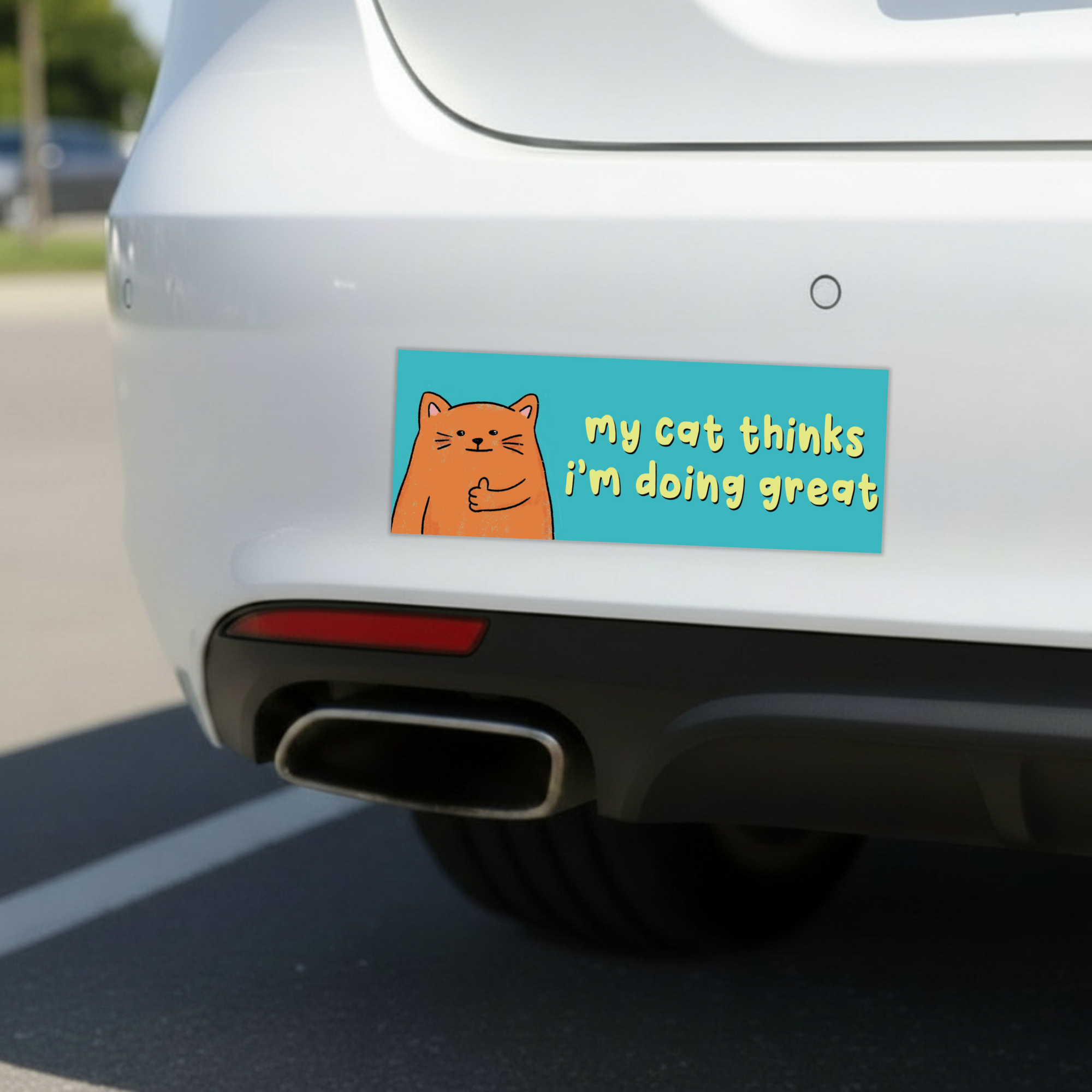 Sleazy Greetings funny bumper magnet displayed on the back of a white car featuring the phrase ‘My Cat Thinks I’m Doing Great’ alongside a cute orange cartoon cat giving a thumbs up on a teal background. Humorous novelty car magnet with playful pet-owner humor and whimsical illustrated design shown in real-life automotive use.