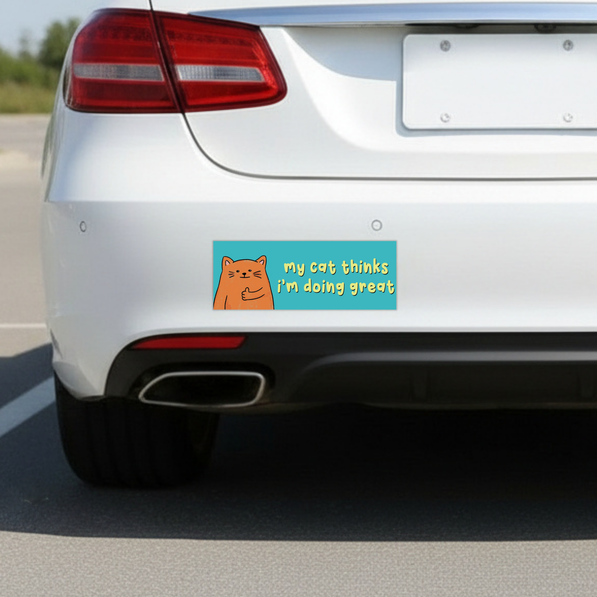 Sleazy Greetings funny bumper magnet displayed on the back of a white car featuring the phrase ‘My Cat Thinks I’m Doing Great’ alongside a cute orange cartoon cat giving a thumbs up on a teal background. Humorous novelty car magnet with playful pet-owner humor and whimsical illustrated design shown in real-life automotive use.