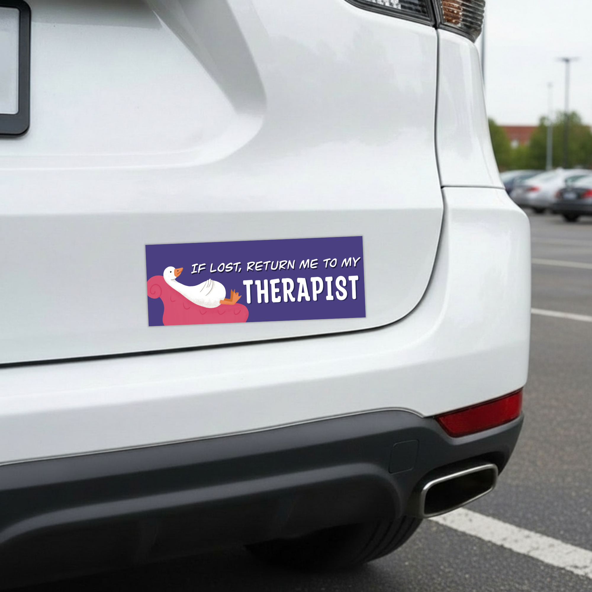 Return Me To My Therapist | Funny Car Magnet