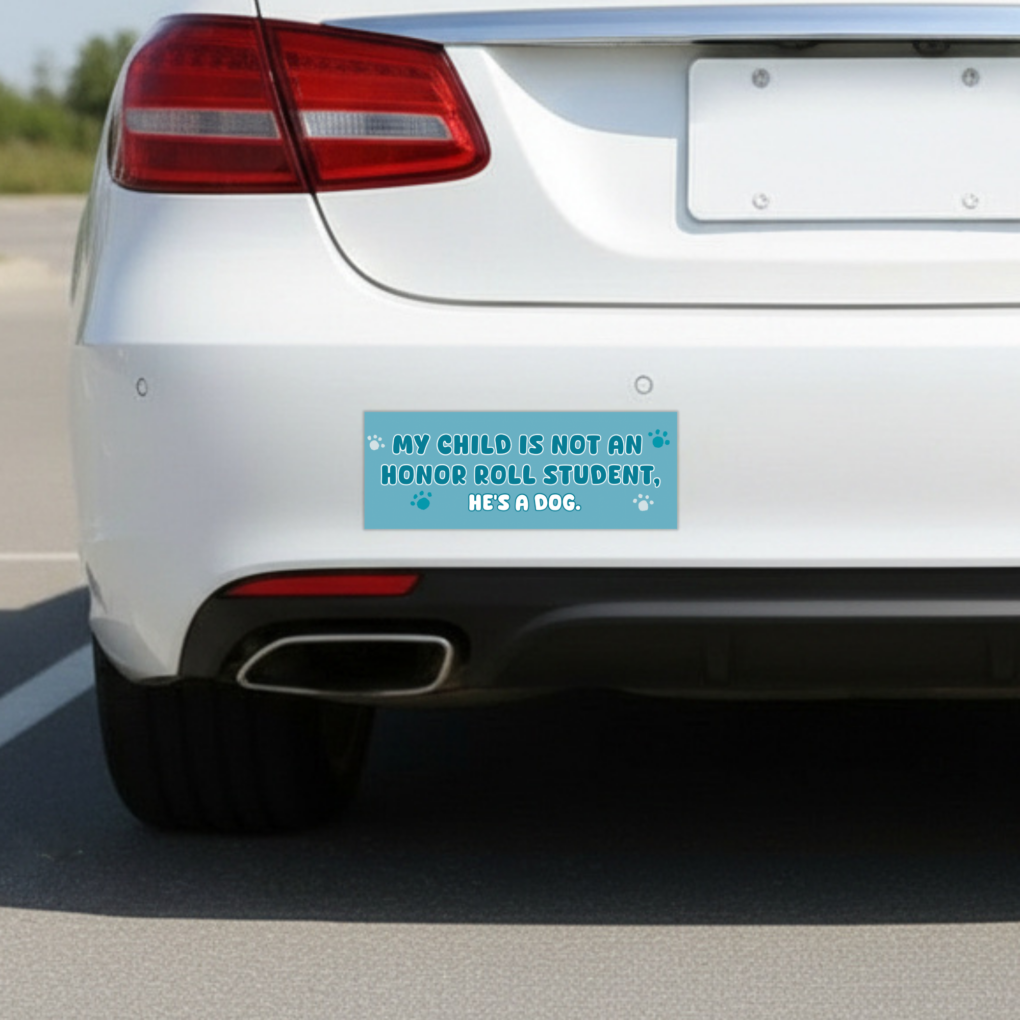 Sleazy Greetings funny bumper magnet displayed on the back of a white car, featuring the phrase ‘My Child Is Not An Honor Roll Student, He’s A Dog’ in playful white typography on a turquoise blue background with paw print accents. Humorous dog lover car magnet with cute pet-themed artwork and sarcastic parent humor aesthetic.