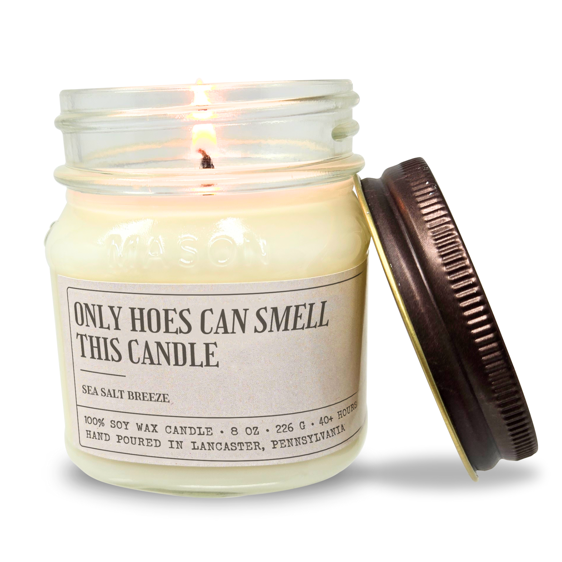 Only Hoes Can Smell This Candle - Funny Candle 8oz Soy Wax