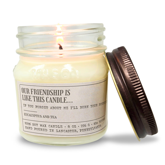 Our Friendship Is Like This Candle - Funny Candle 8oz Soy