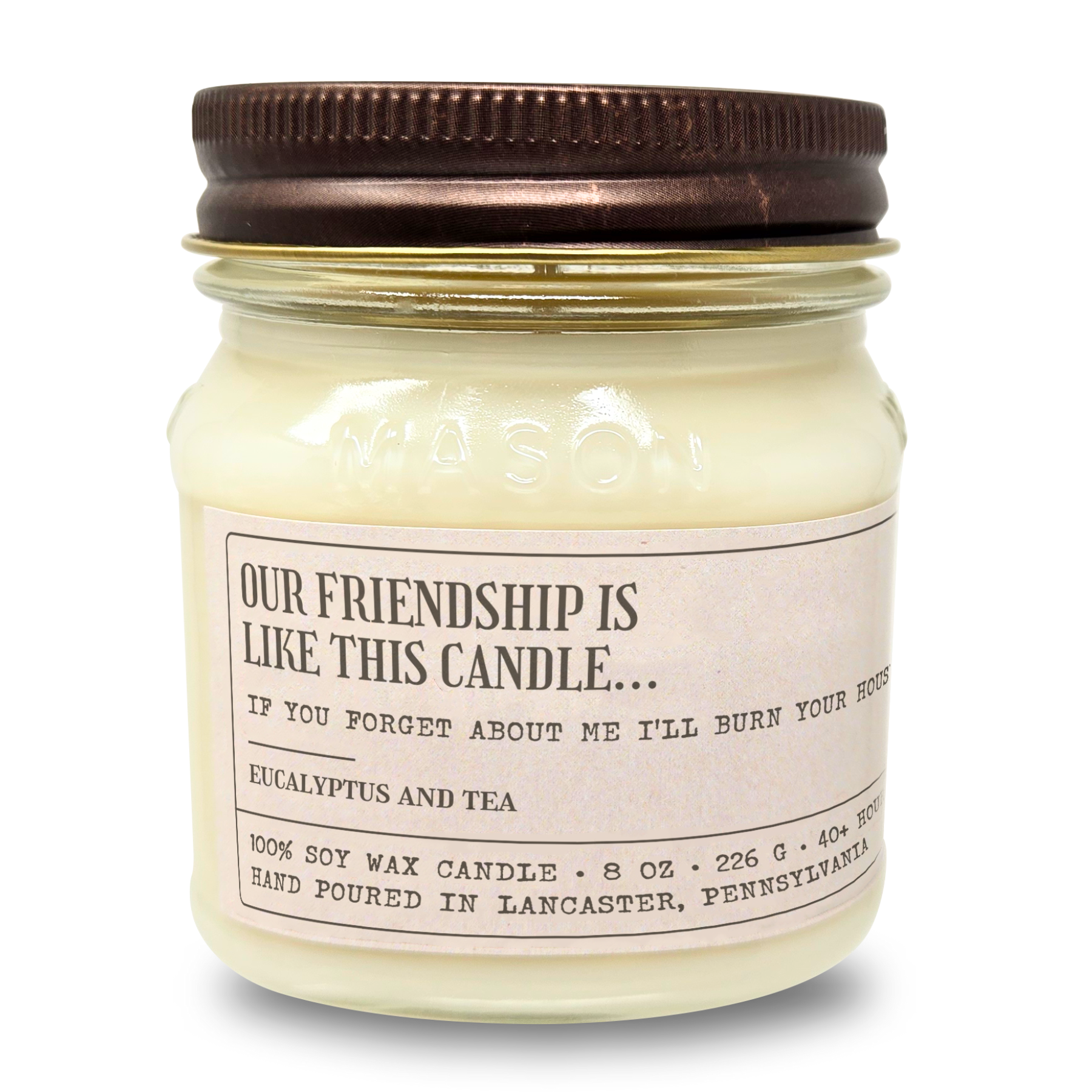 Our Friendship Is Like This Candle - Funny Candle 8oz Soy