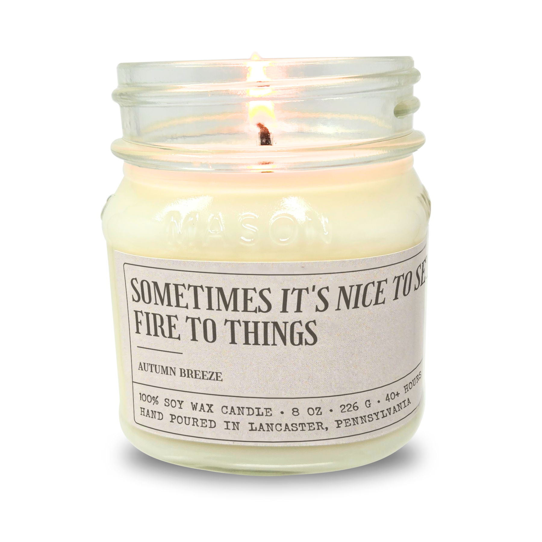 Sometimes It's Nice To Set Fire To Things - Funny Candle 8oz