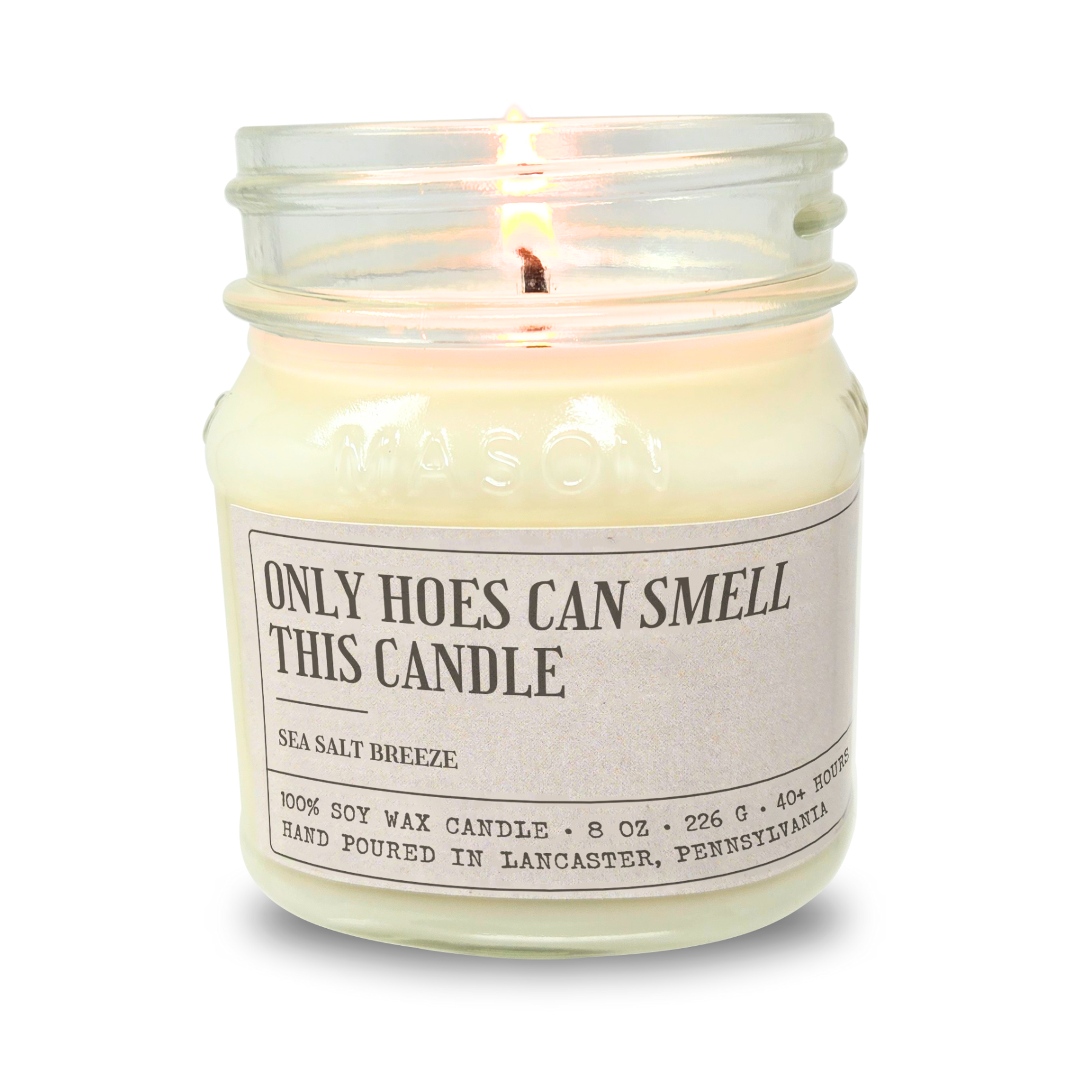 Only Hoes Can Smell This Candle - Funny Candle 8oz Soy Wax