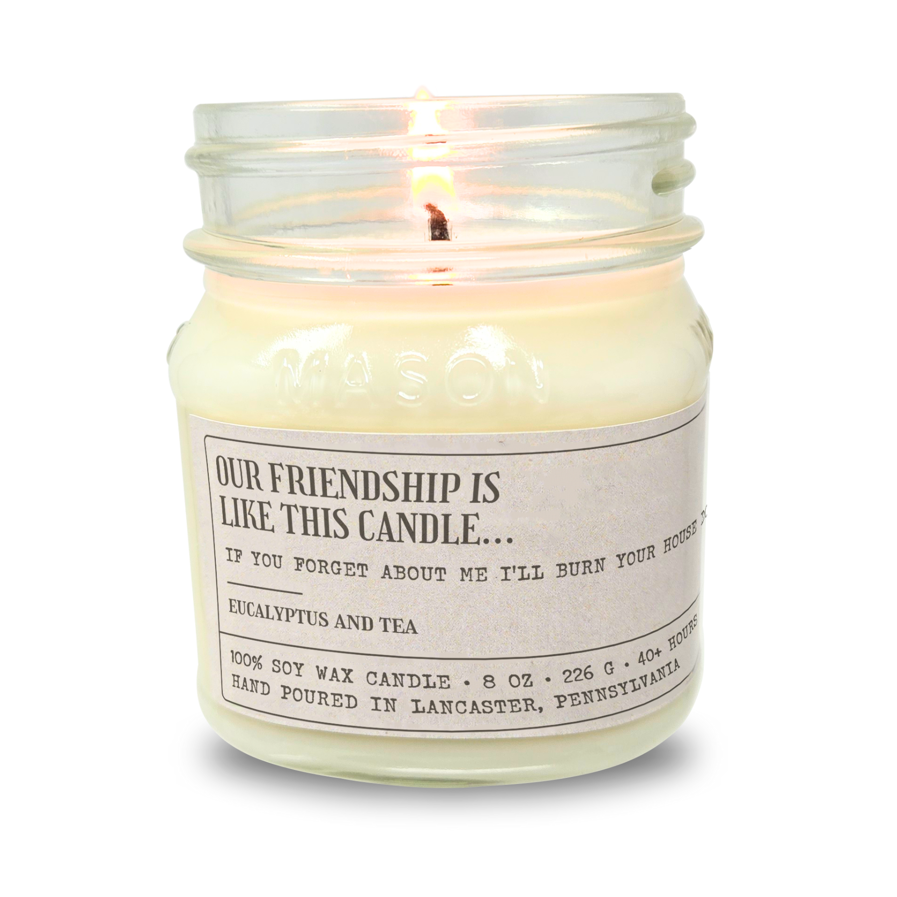 Our Friendship Is Like This Candle - Funny Candle 8oz Soy