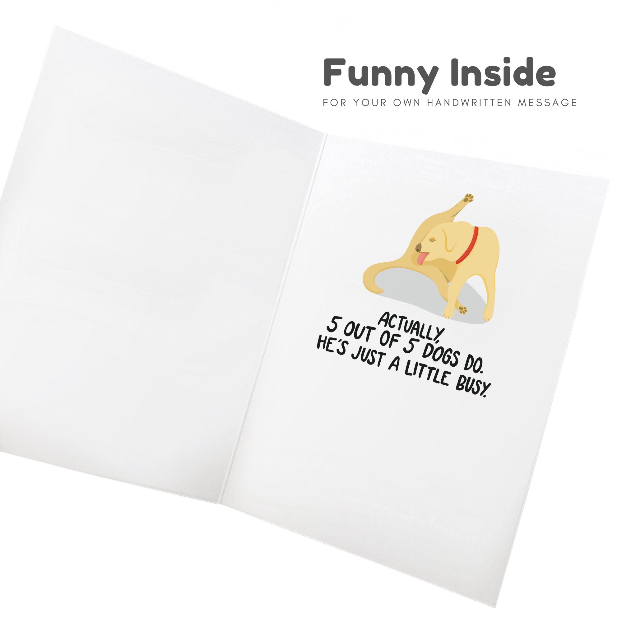 4 Out Of 5 Dogs Love That It's Your Birthday - Sleazy Greetings - greetingcard