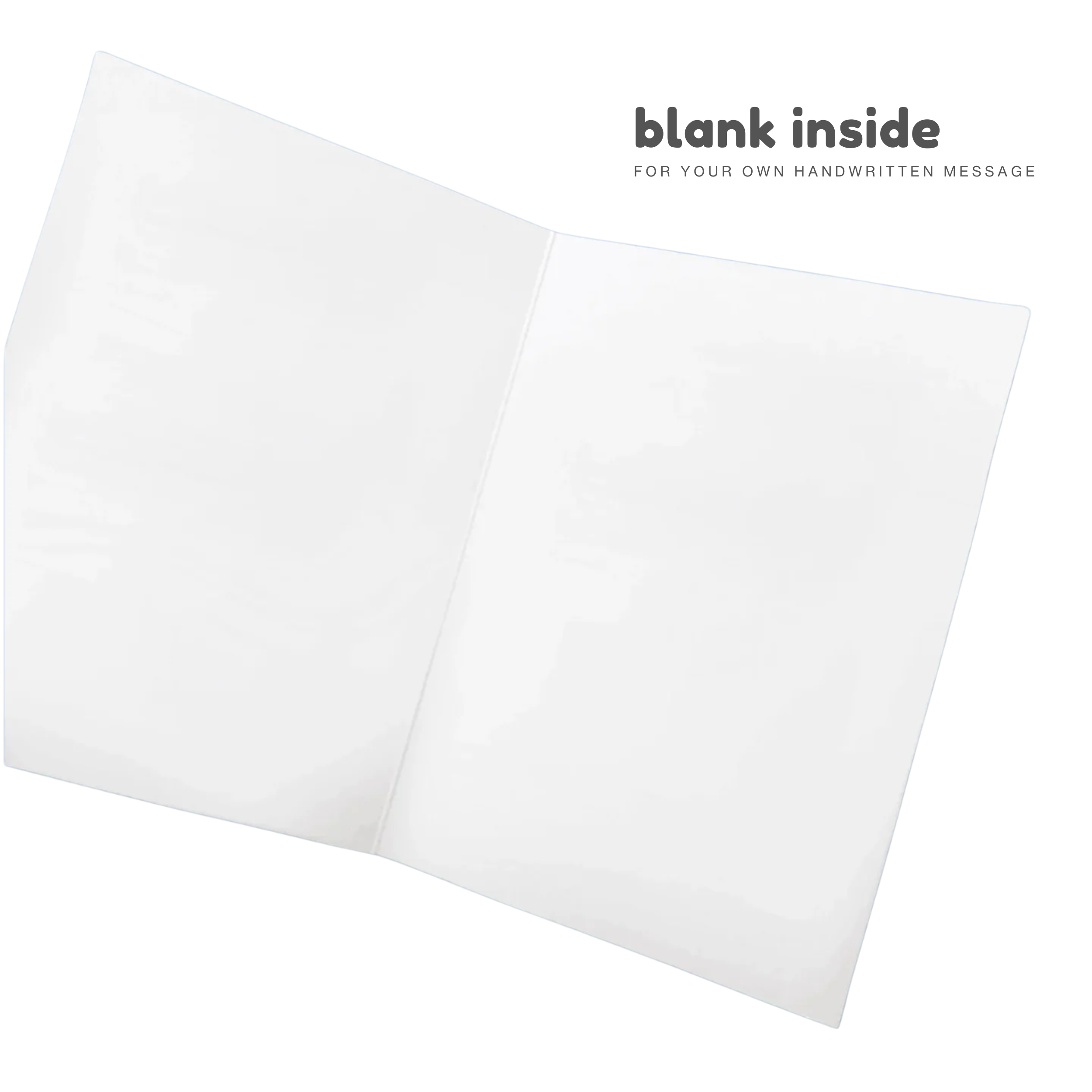 Five Fucking Bucks Bundle | Funny Christmas Card