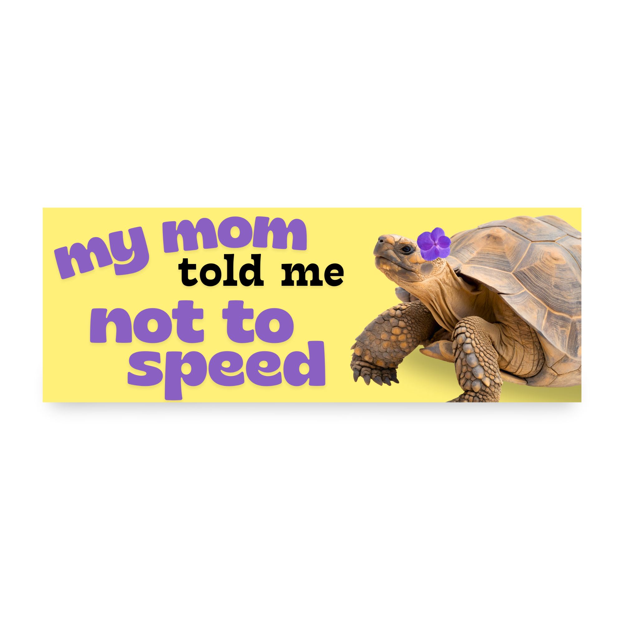 Not To Speed | Funny Car Magnet