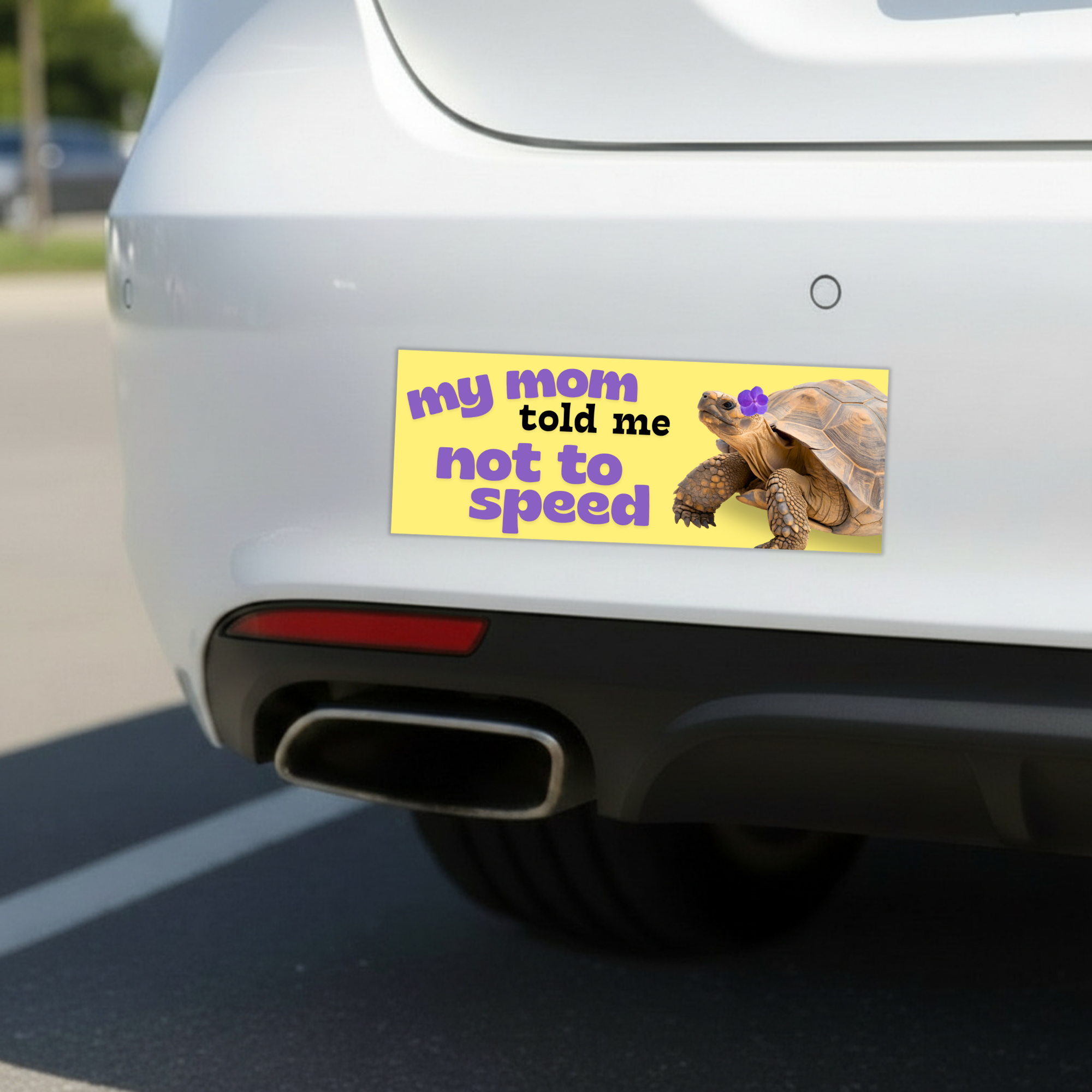 Sleazy Greetings funny bumper magnet displayed on the back of a white car featuring the phrase ‘My Mom Told Me Not To Speed’ in bold playful lettering alongside a realistic tortoise with a purple flower on its head on a pastel yellow background. Humorous novelty car magnet with cute slow-driver humor and whimsical animal design shown in real-life automotive use.