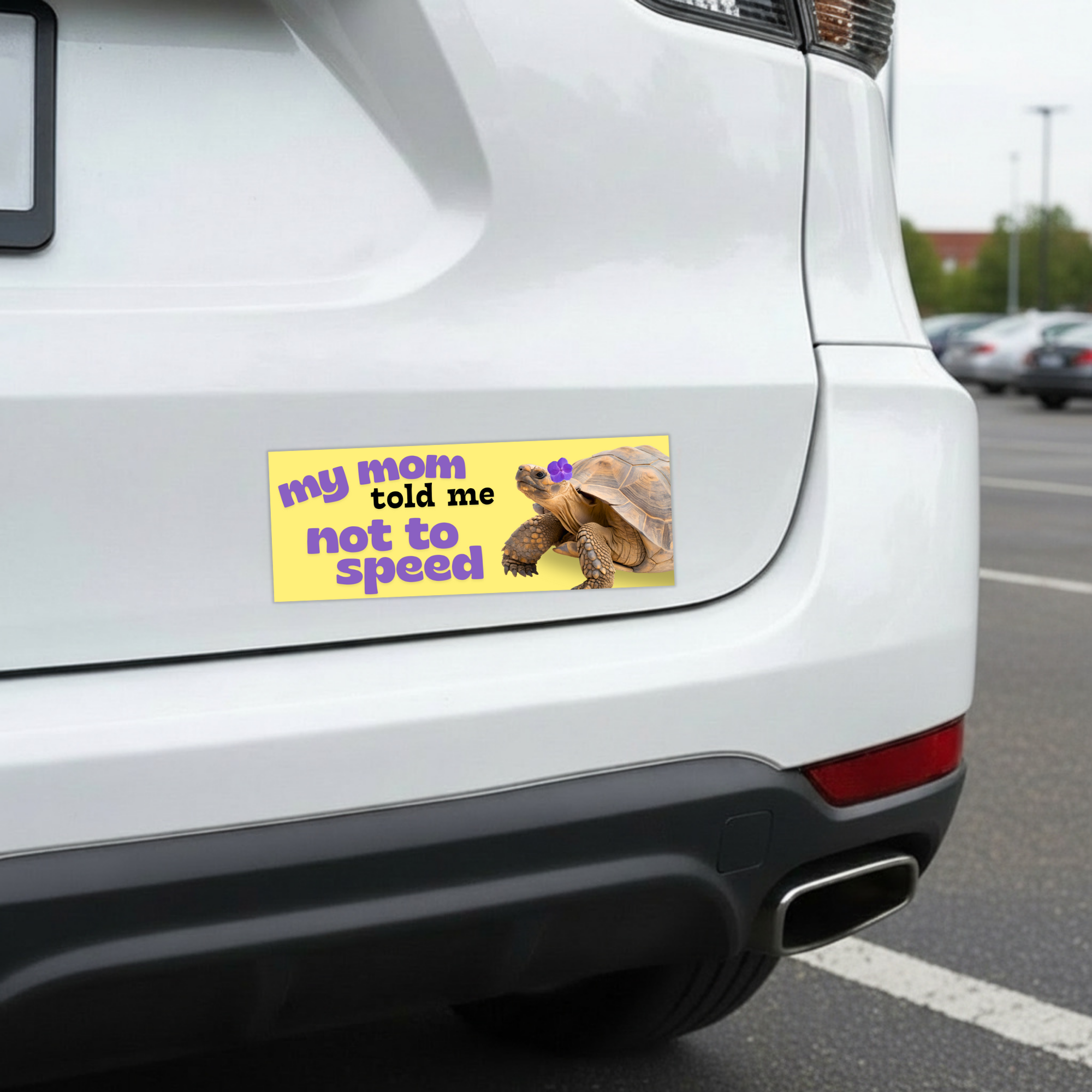 Sleazy Greetings funny bumper magnet displayed on the back of a white car featuring the phrase ‘My Mom Told Me Not To Speed’ in bold playful lettering alongside a realistic tortoise with a purple flower on its head on a pastel yellow background. Humorous novelty car magnet with cute slow-driver humor and whimsical animal design shown in real-life automotive use.