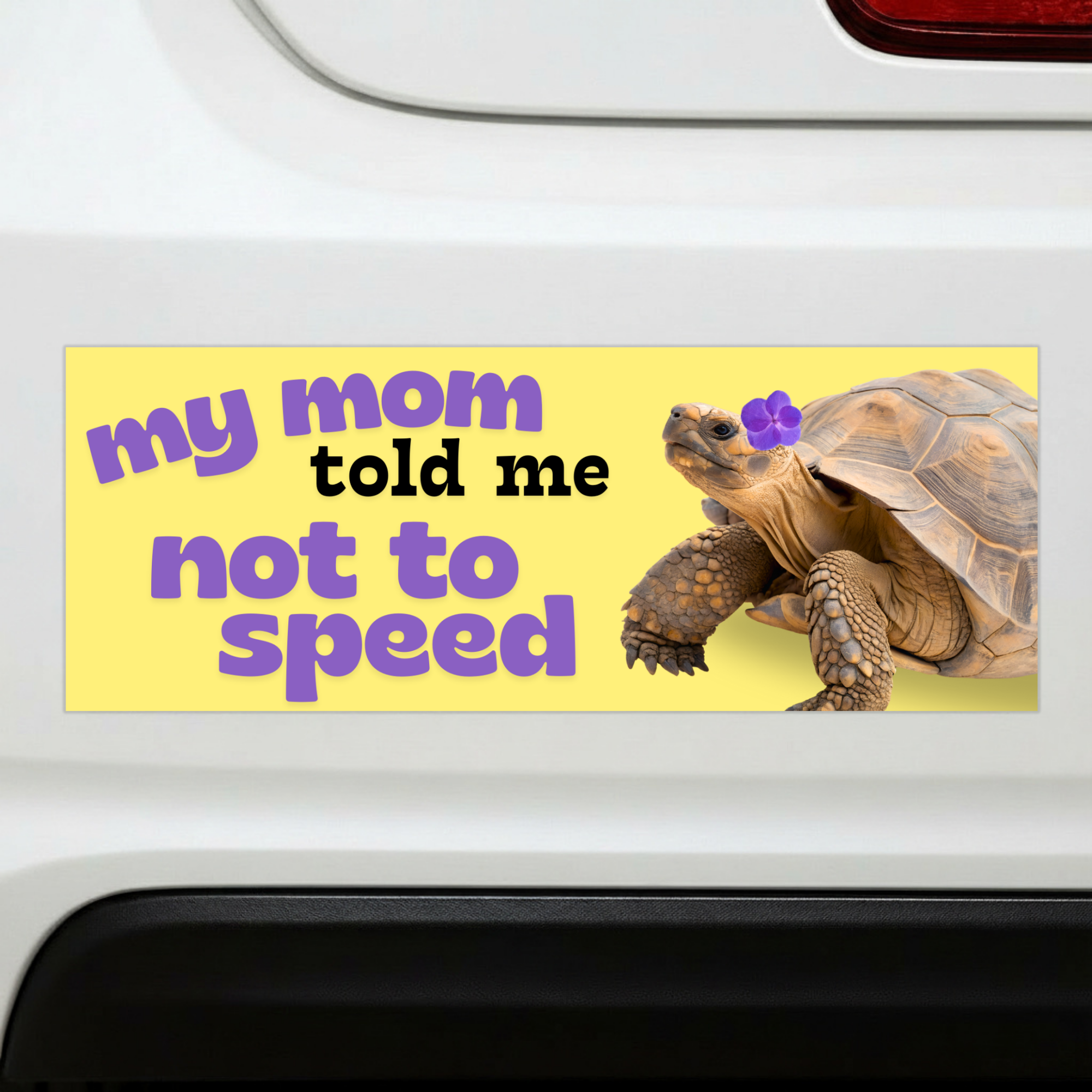 Sleazy Greetings funny bumper magnet displayed on the back of a white car featuring the phrase ‘My Mom Told Me Not To Speed’ in bold playful lettering alongside a realistic tortoise with a purple flower on its head on a pastel yellow background. Humorous novelty car magnet with cute slow-driver humor and whimsical animal design shown in real-life automotive use.