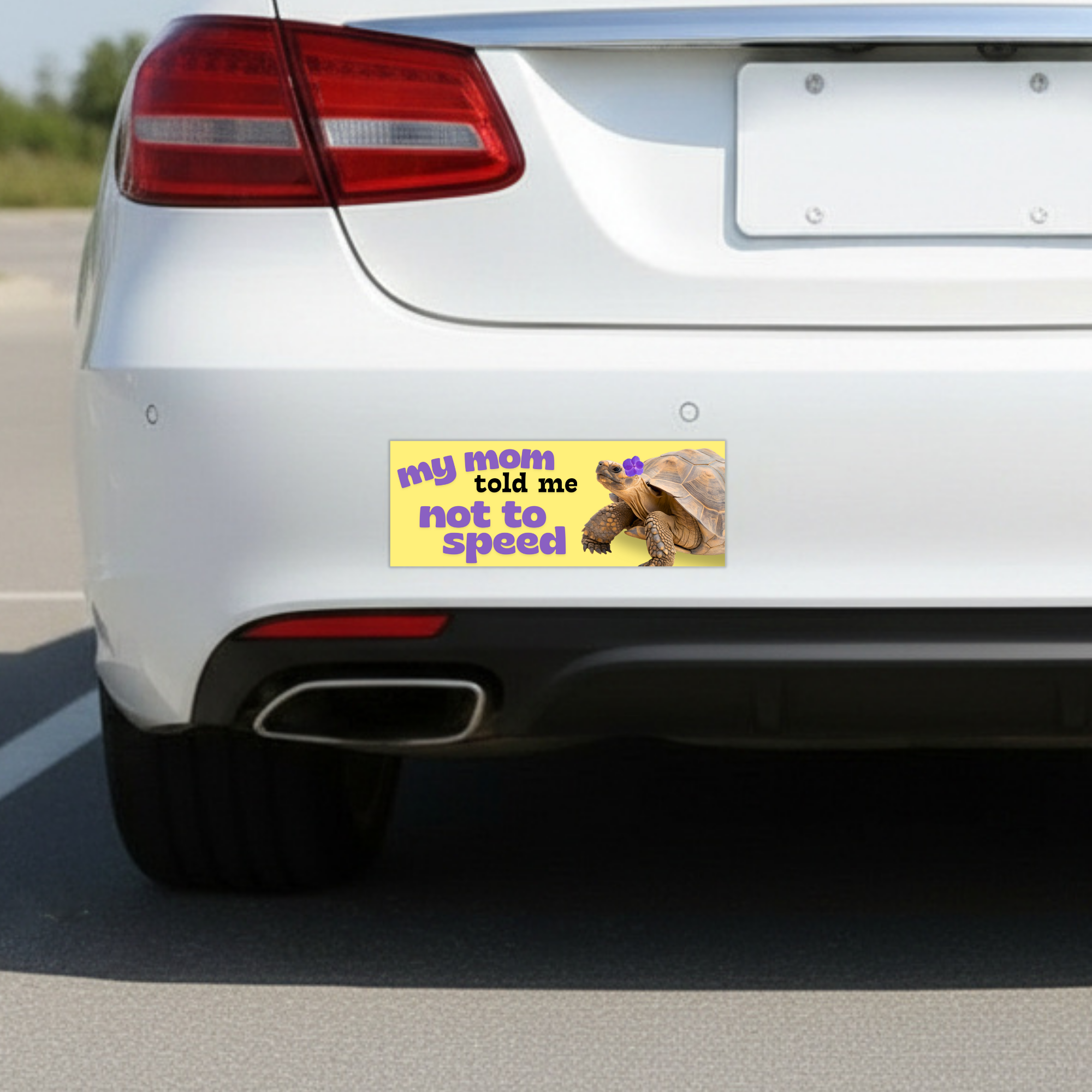 Sleazy Greetings funny bumper magnet displayed on the back of a white car featuring the phrase ‘My Mom Told Me Not To Speed’ in bold playful lettering alongside a realistic tortoise with a purple flower on its head on a pastel yellow background. Humorous novelty car magnet with cute slow-driver humor and whimsical animal design shown in real-life automotive use.