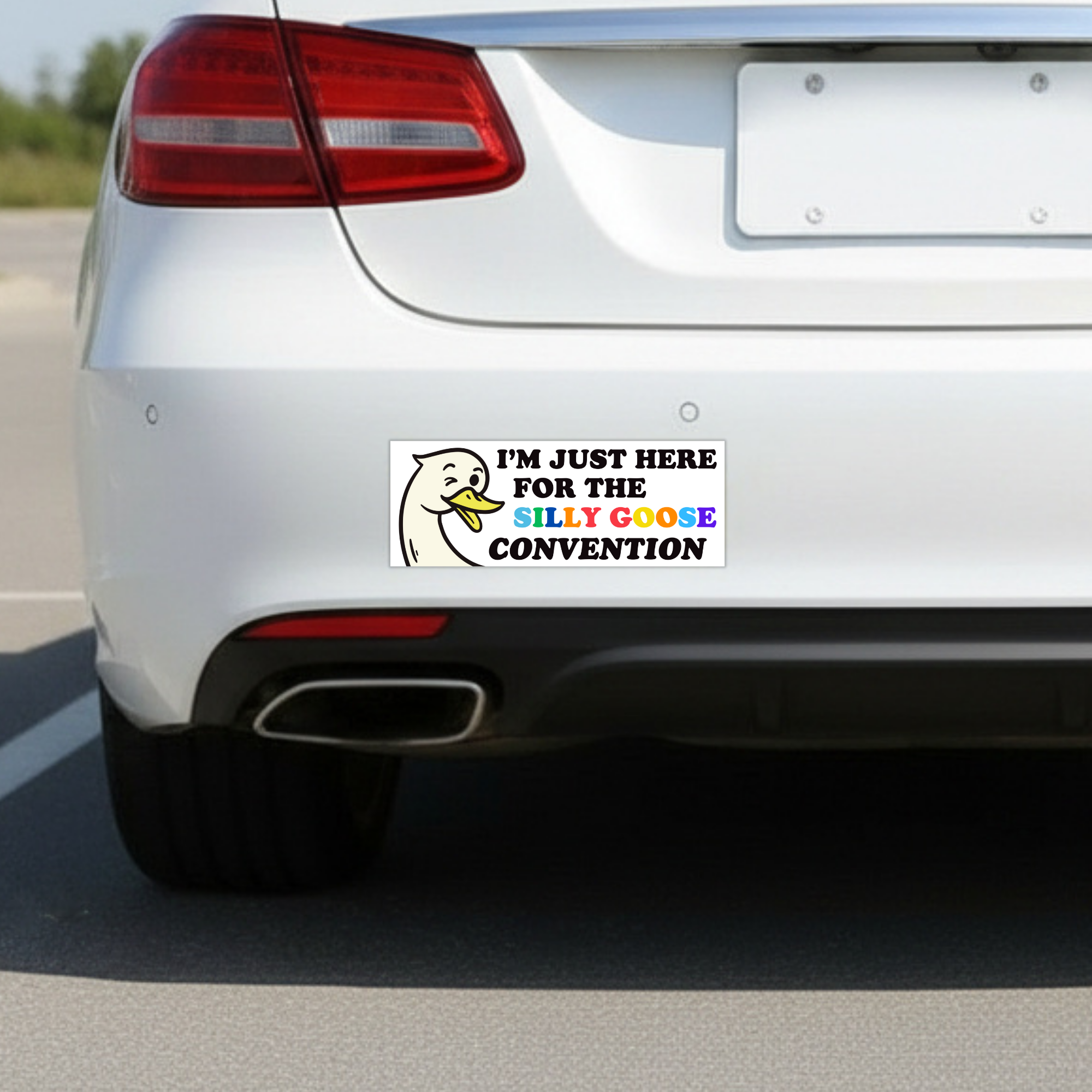 Silly Goose Convention | Funny Car Magnet