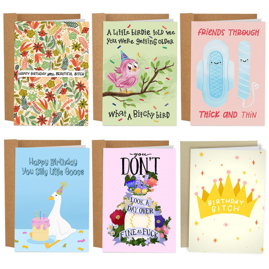 6 Best Friend Birthday Cards Set - Sleazy Greetings - greetingcard