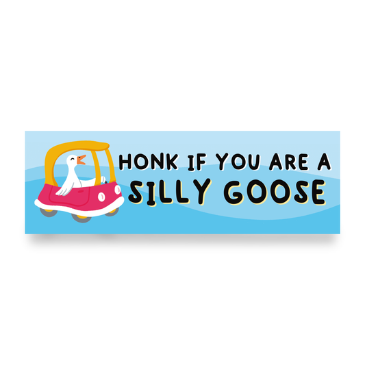 Honk Silly Goose | Funny Car Magnet