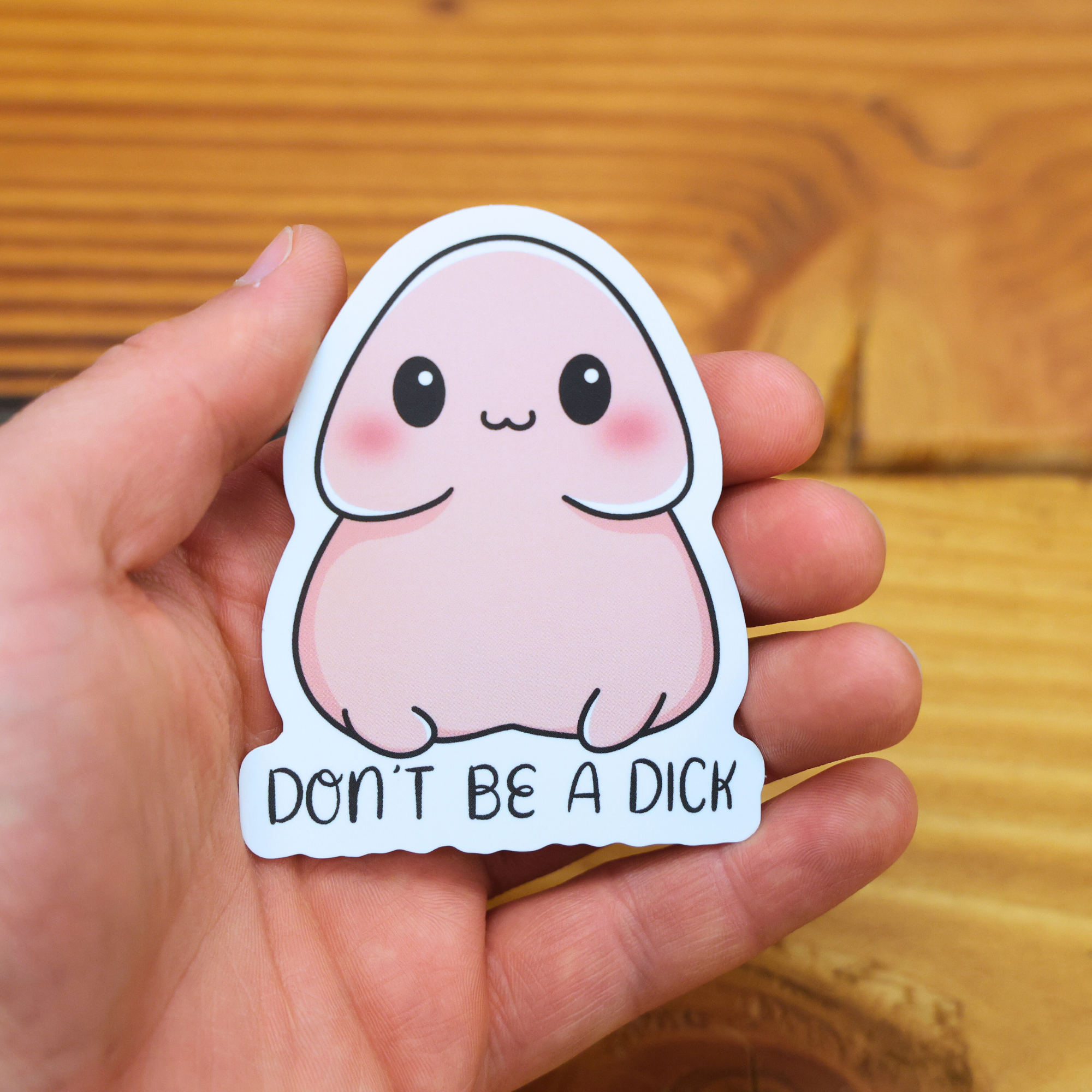 Don't Be A Dick Sticker