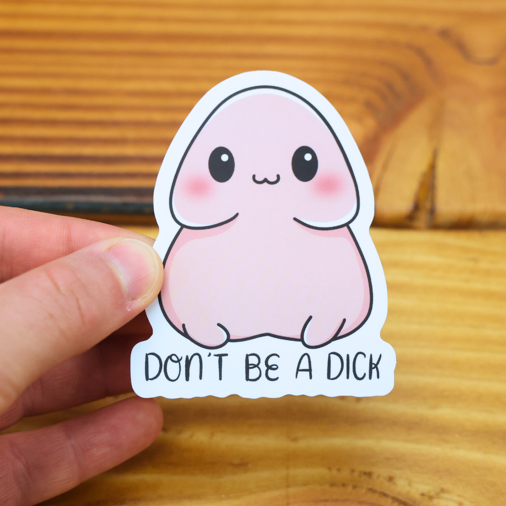 Don't Be A Dick Sticker