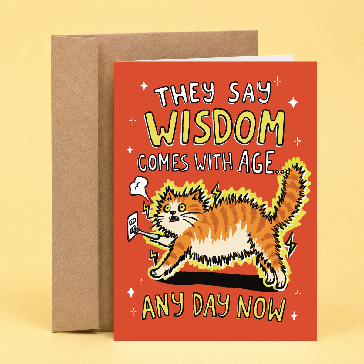 Sleazy Greetings funny birthday card featuring an orange cat getting electrocuted by an electrical outlet on a red background with the phrase, “They Say Wisdom Comes With Age... Any Day Now.” Humorous birthday greeting card perfect for cat lovers, friends, family, and anyone who enjoys sarcastic aging jokes.