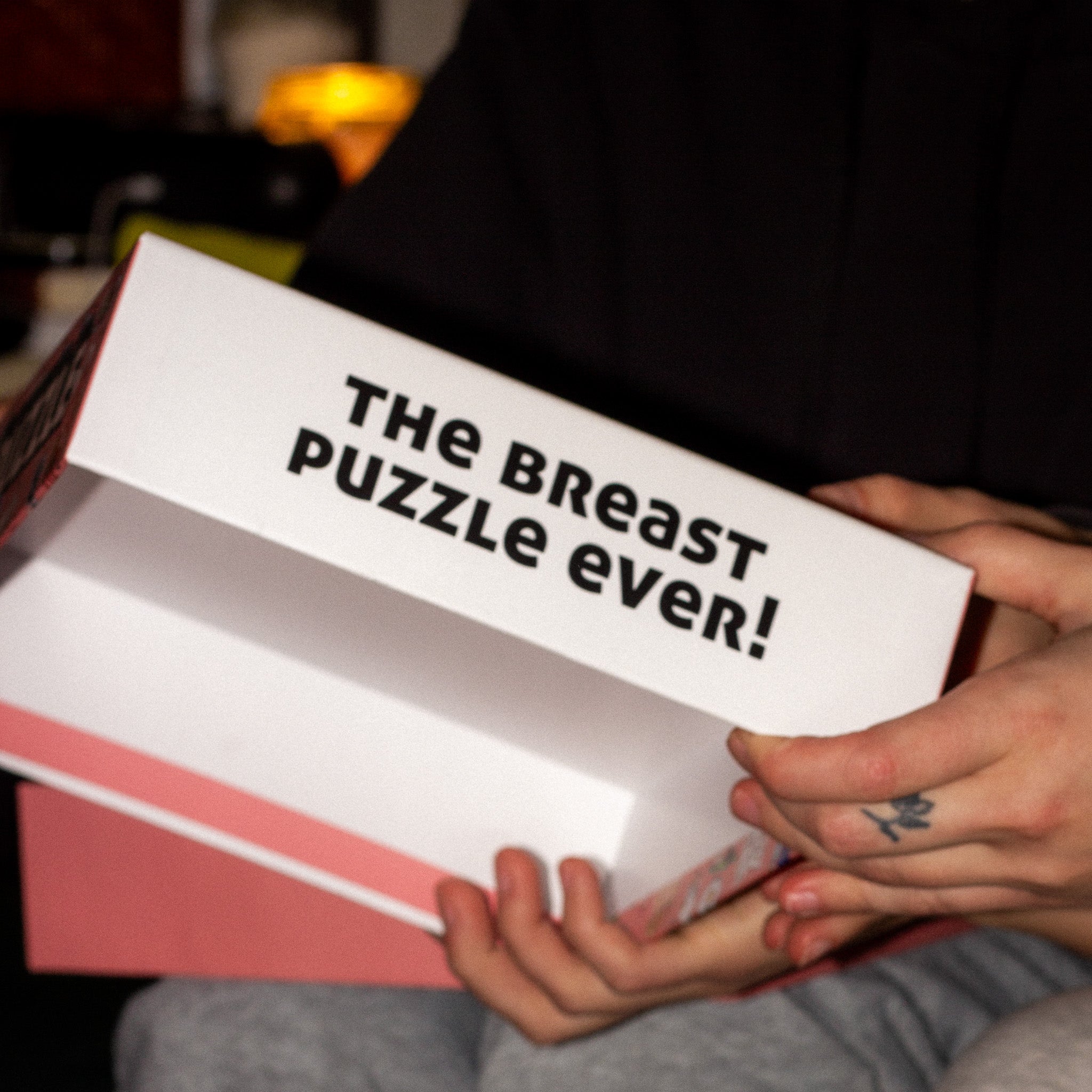 Person holding the Tit's a Puzzle box showing the text “Breast Puzzle Ever”.