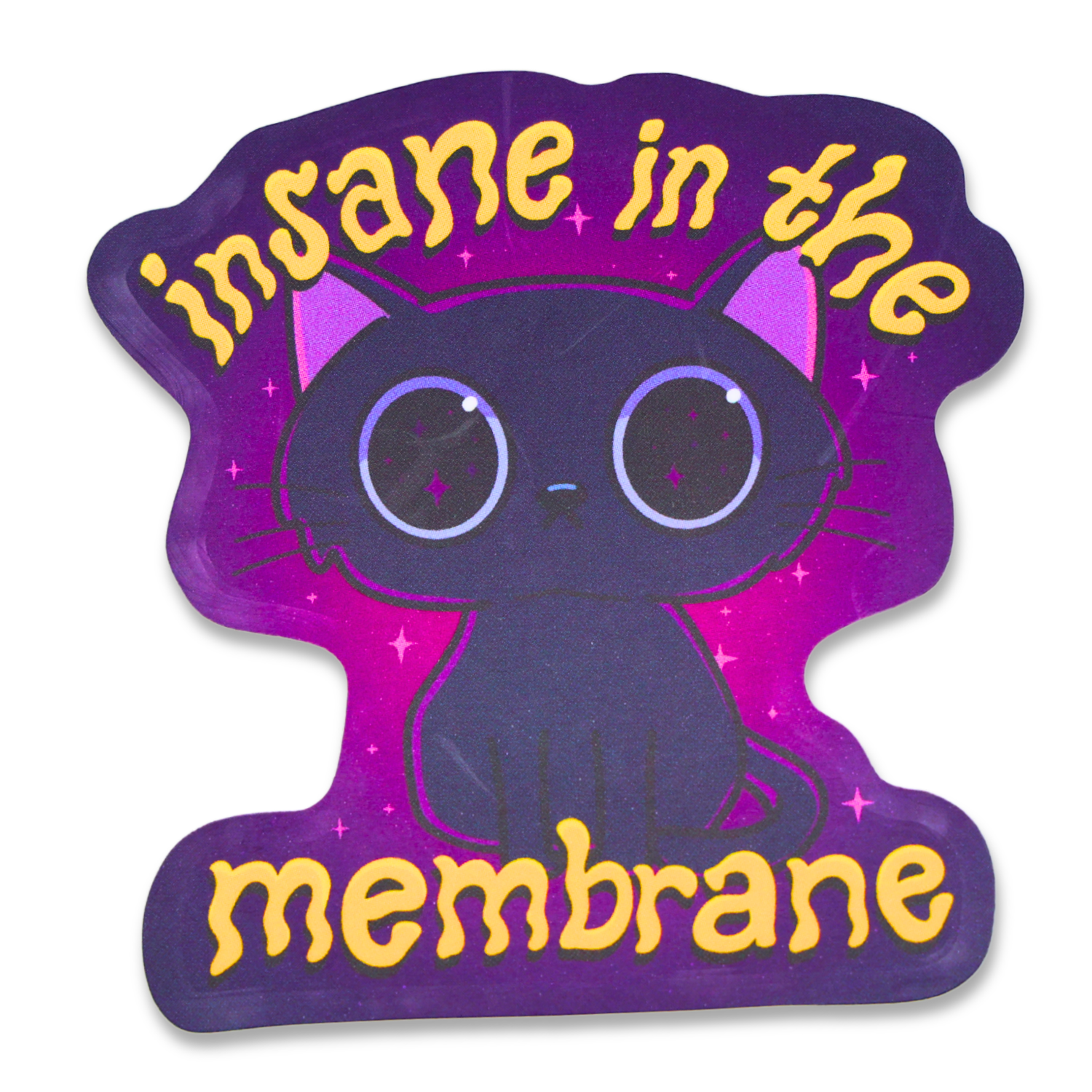 Insain Sticker Insane In The Membrane Funny Vinyl Sticker – Sleazy Greetings