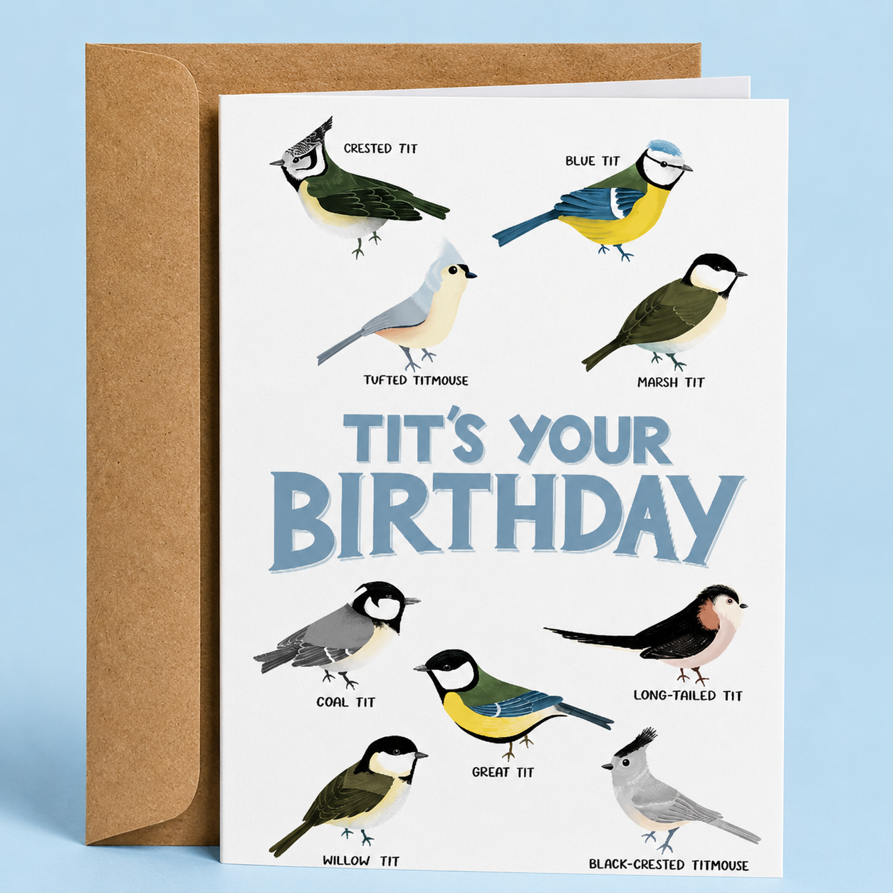 Sleazy Greetings funny birthday card featuring illustrations of real tit birds and titmice species surrounding the pun “Tit’s Your Birthday” on a white background, paired with a kraft envelope.