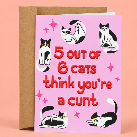 Sleazy Greetings funny adult birthday card featuring black-and-white cats on a pink background with the sarcastic message “5 Out Of 6 Cats Think You’re A Cunt,” paired with a kraft envelope.