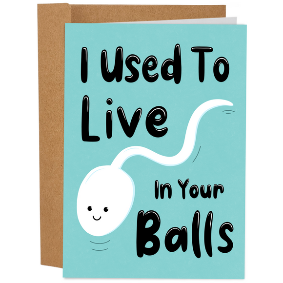 I Used To Live In Your Balls