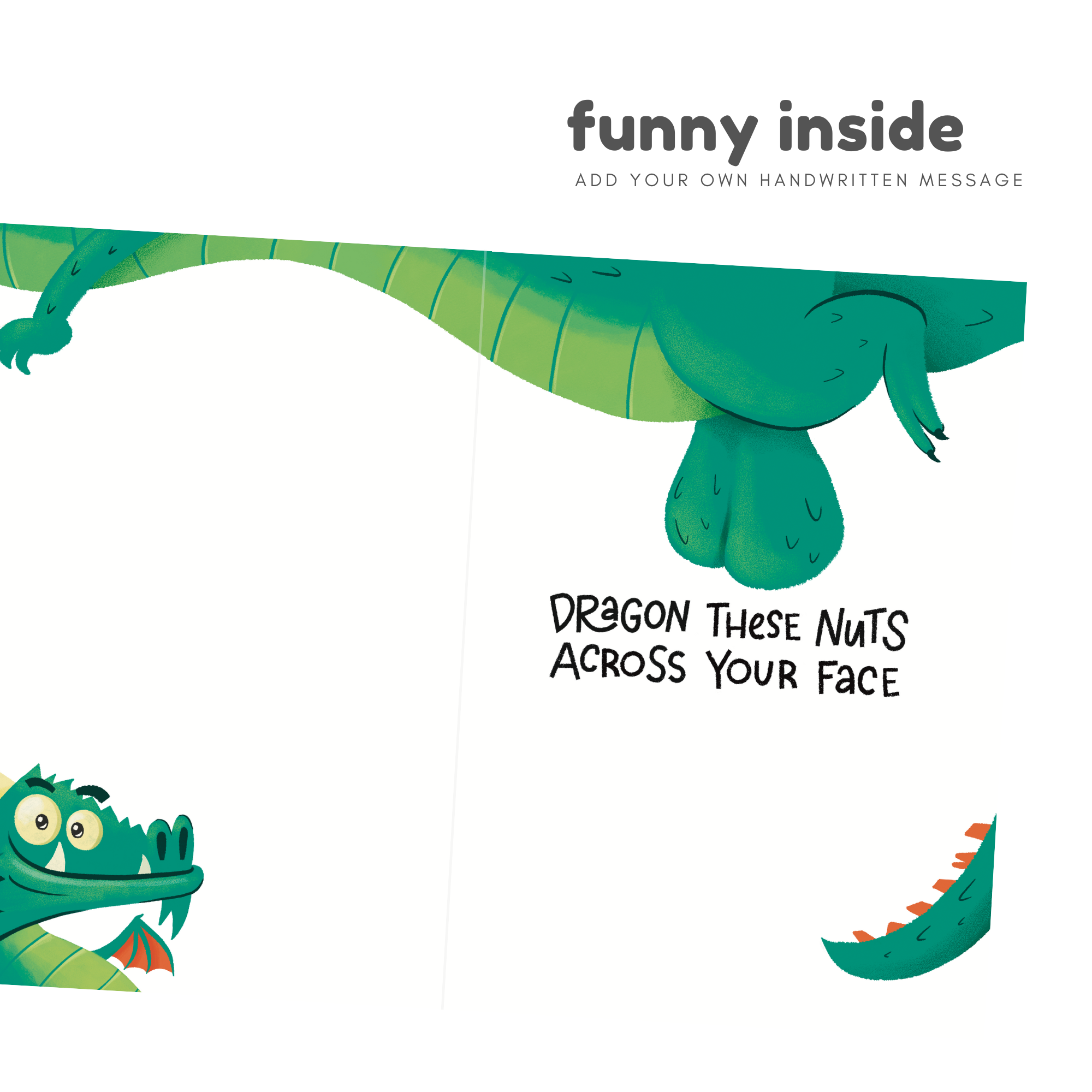 I Heard You Like Dragons | Funny Birthday Card