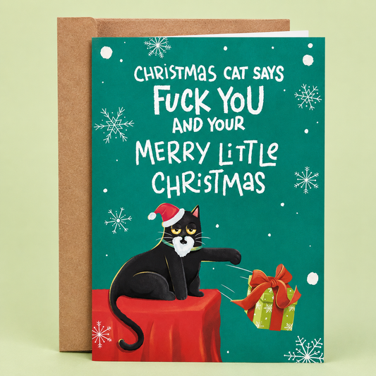 Merry Little Christmas | Funny Christmas Card