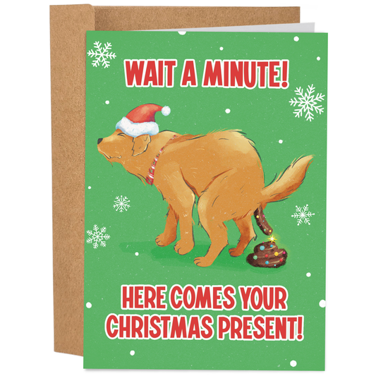 Your Christmas Present | Funny Christmas Card