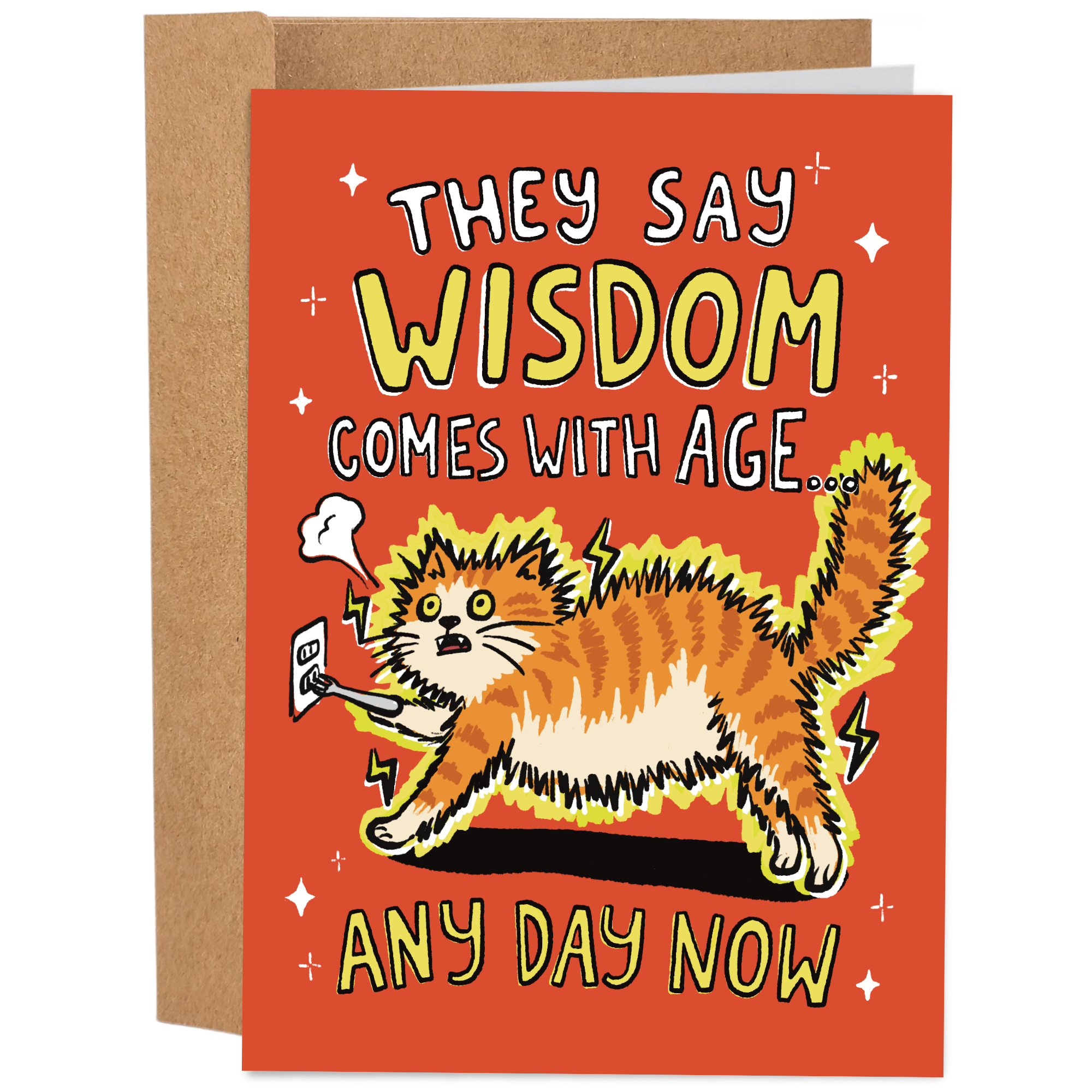 Sleazy Greetings funny birthday card featuring an orange cat getting electrocuted by an electrical outlet on a red background with the phrase, “They Say Wisdom Comes With Age... Any Day Now.” Humorous birthday greeting card perfect for cat lovers, friends, family, and anyone who enjoys sarcastic aging jokes.