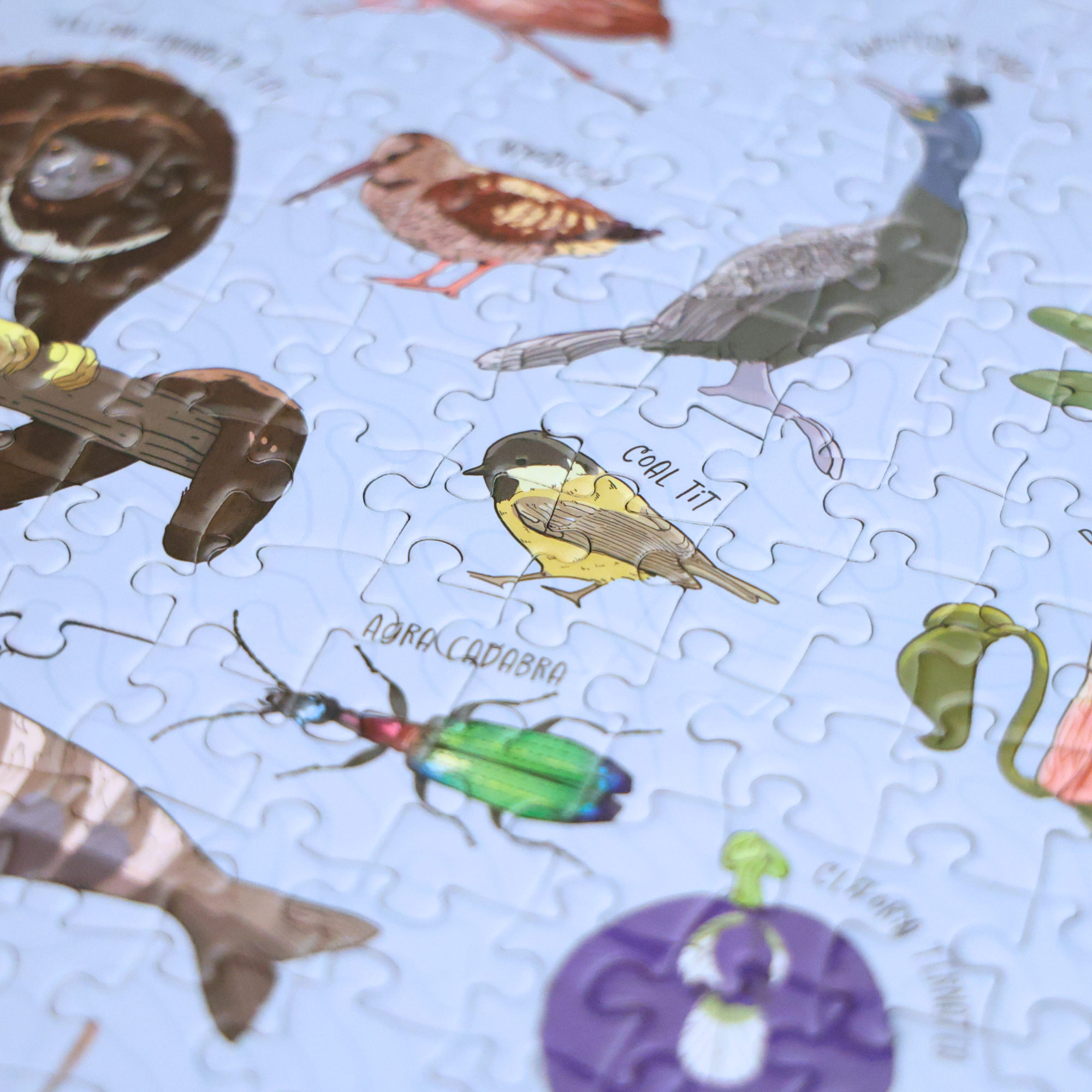 Silly Nature Puzzle – 1,000 Piece Funny Nature Gift for Science Lovers