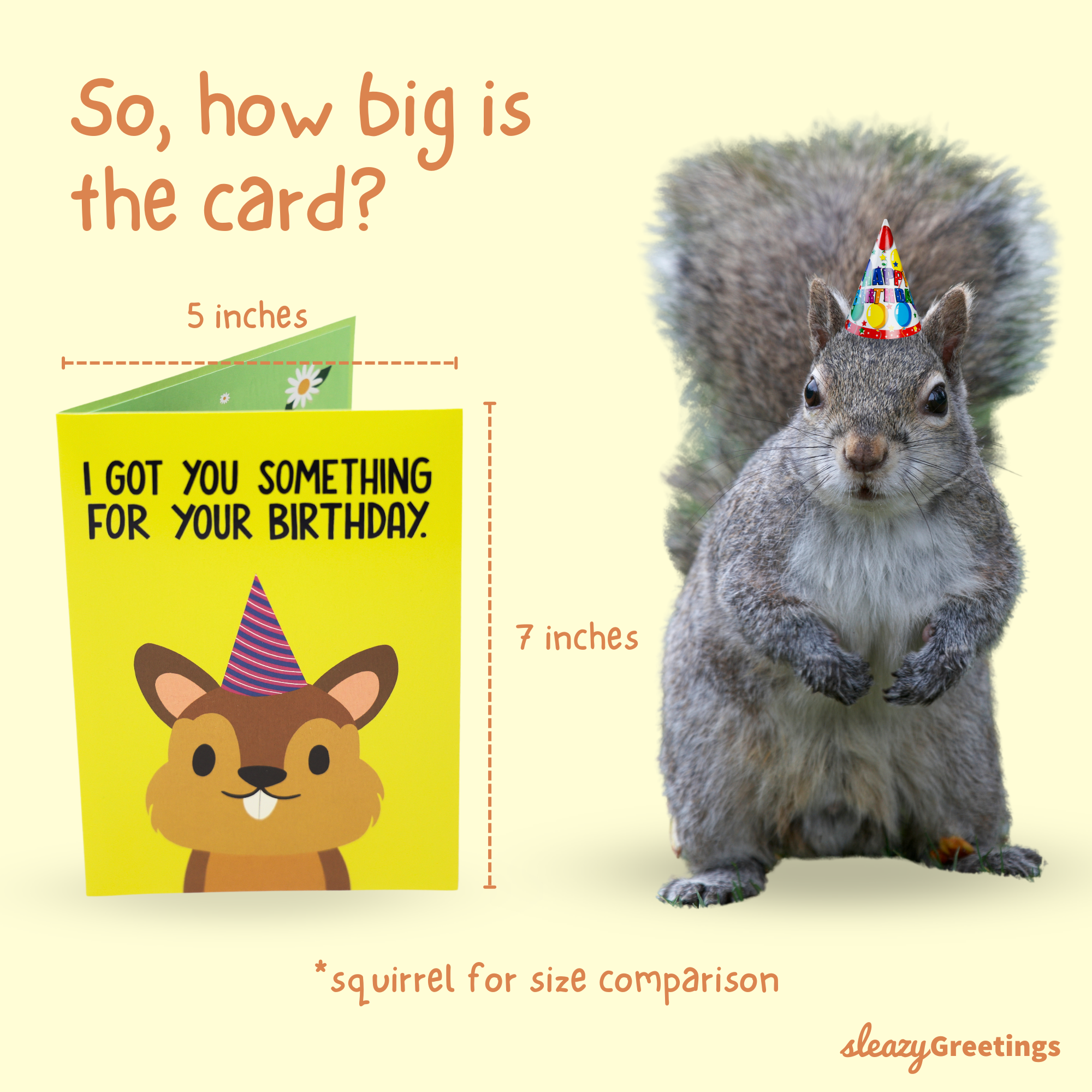 Sleazy Greetings Deez Nuts Squirrel Pop Up Birthday Card - Funny Birthday Card for Men Women - Squirrel 3D Greeting Cards 5x7 Inch