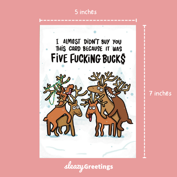 Five Fucking Bucks Bundle | Funny Christmas Card