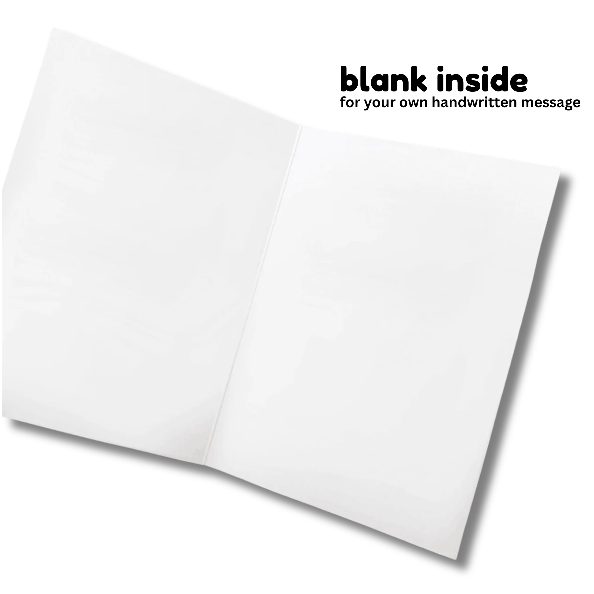 24 Christmas Cards Too Funny for the Nice List