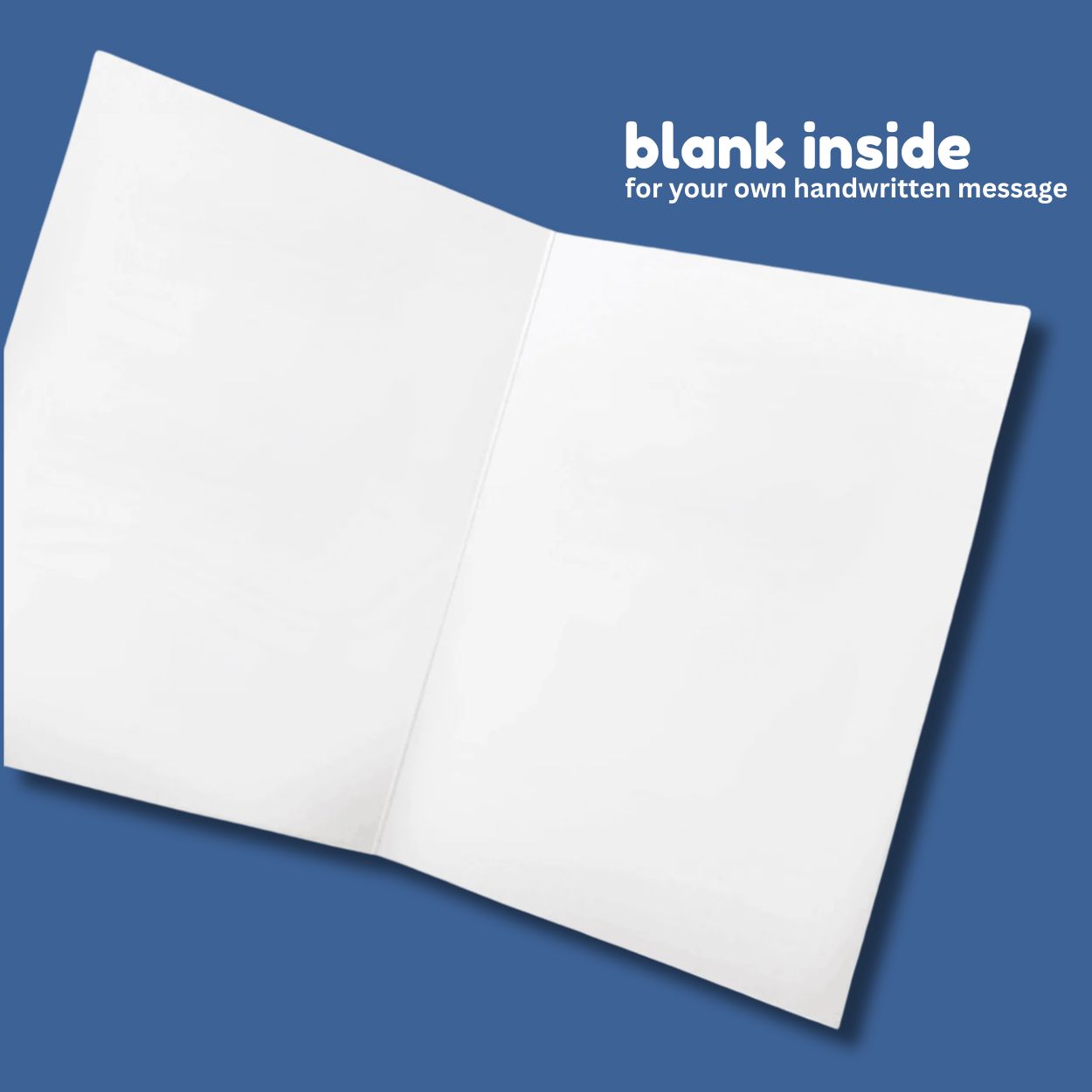 Funny Christmas Card Bundle – Sleazy Holiday Cards for Adults (Pack of 6, 12, or 24)