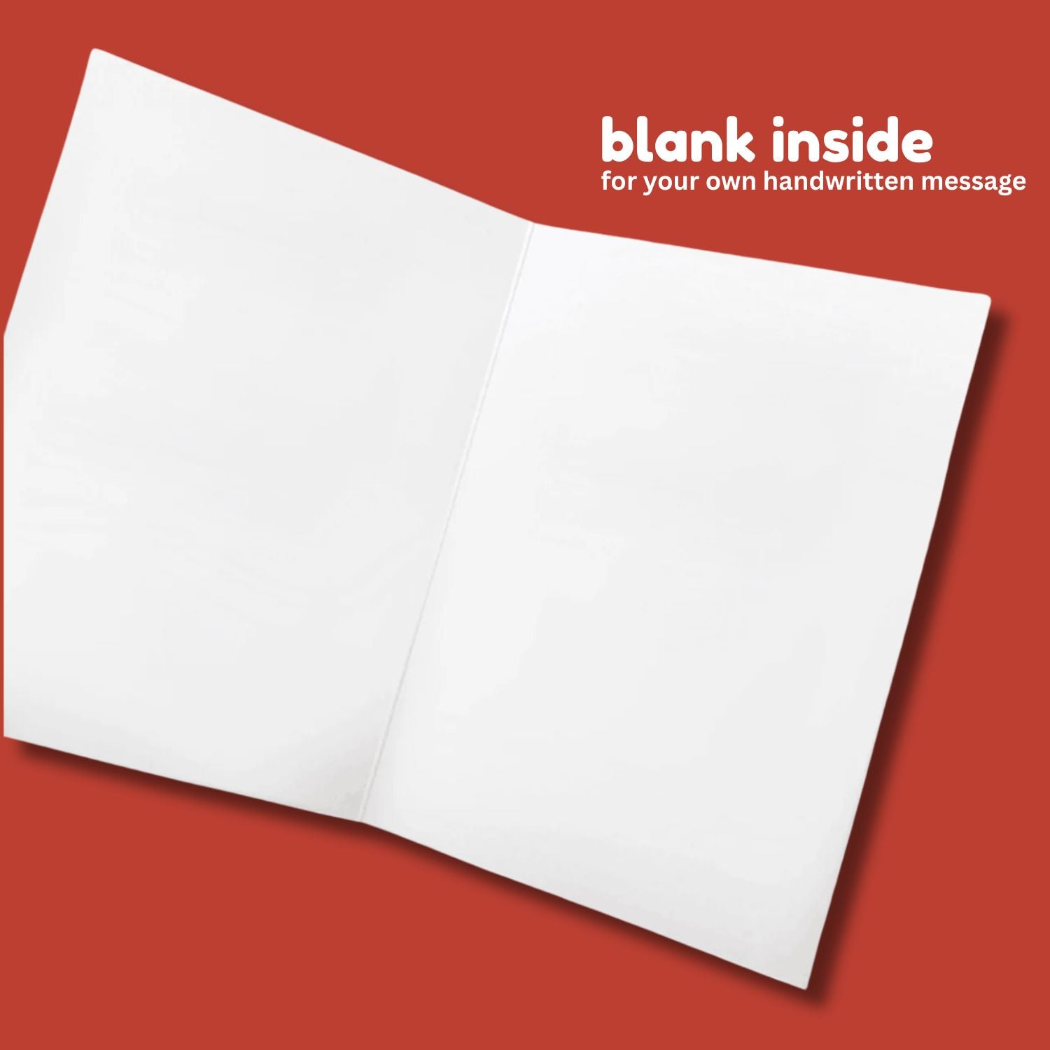 Funny Christmas Card Bundle – Sleazy Holiday Cards for Adults (Pack of 6, 12, or 24)