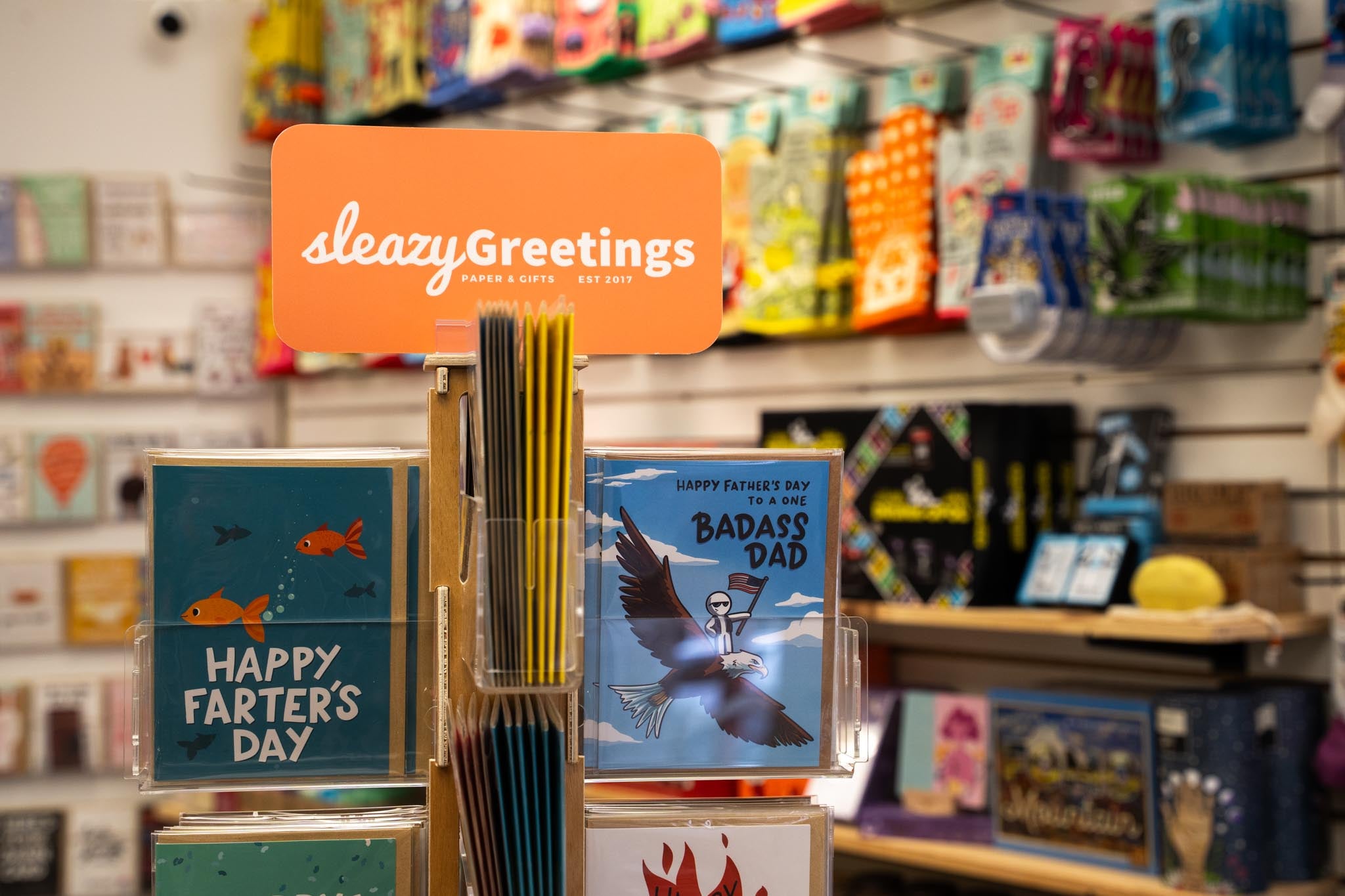 Sleazy Greetings at The Silly Goose in Jim Thorpe