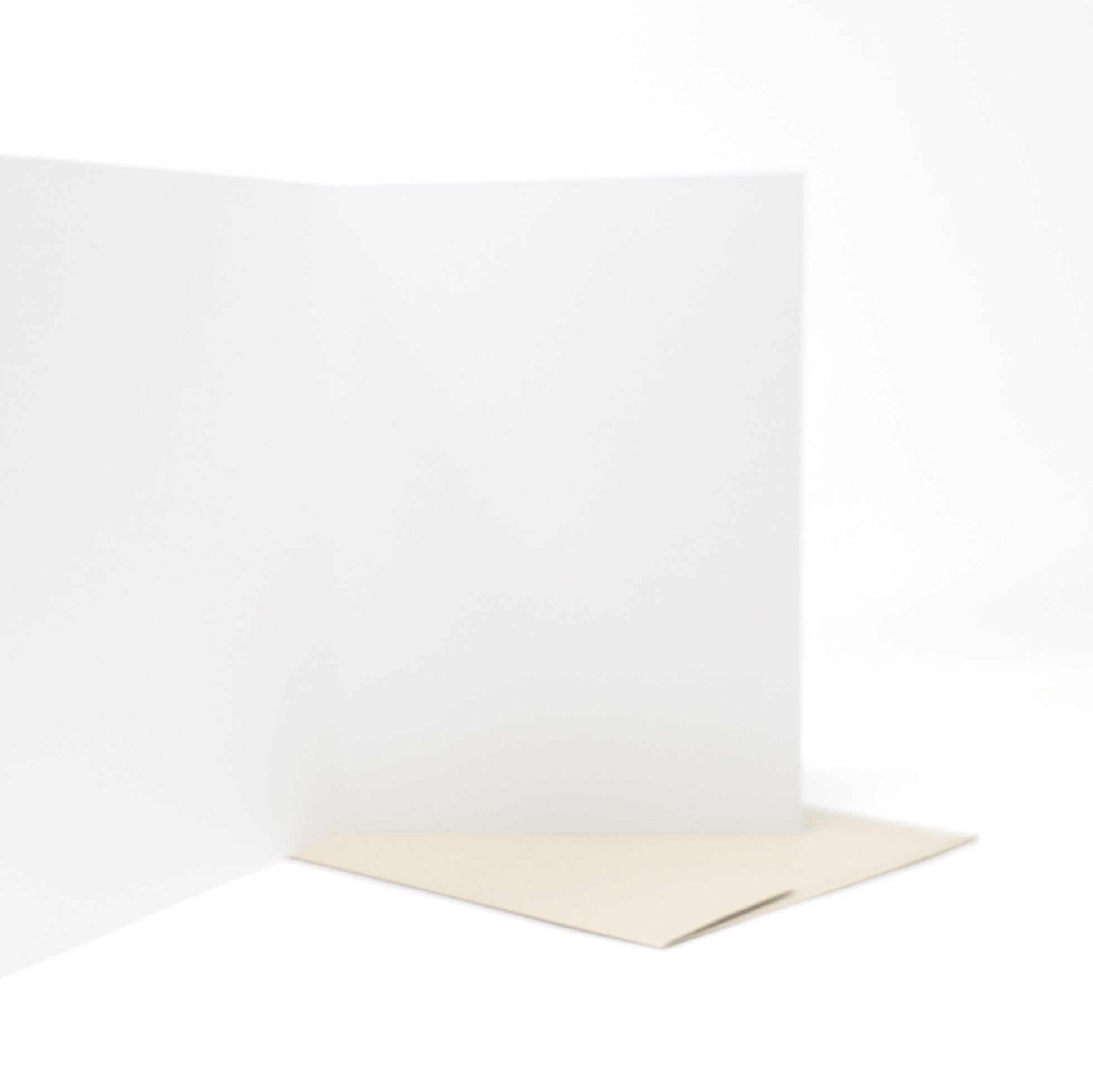 To The Bedroom And Back - Dirty Card - Naughty Adult Greeting Card - Sleazy Greetings