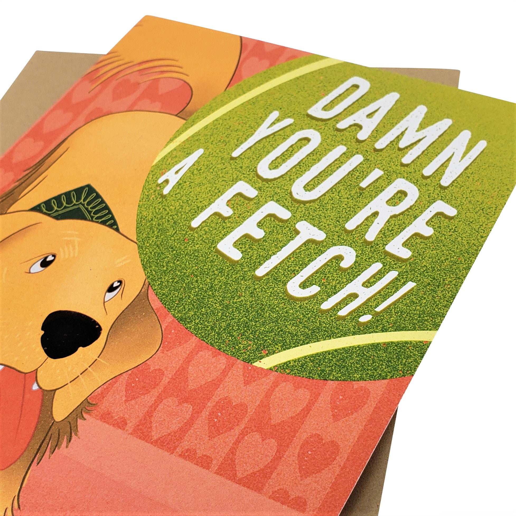 Damn You're A Fetch - Dirty Card - Naughty Adult Greeting Card - Sleazy Greetings