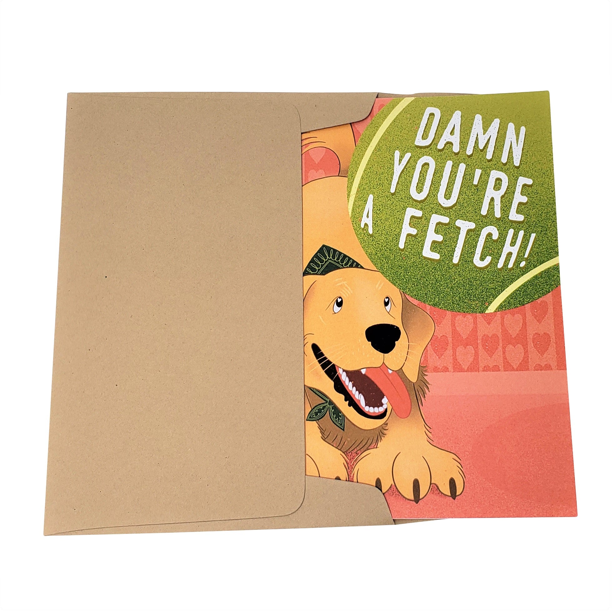 Damn You're A Fetch - Dirty Card - Naughty Adult Greeting Card - Sleazy Greetings