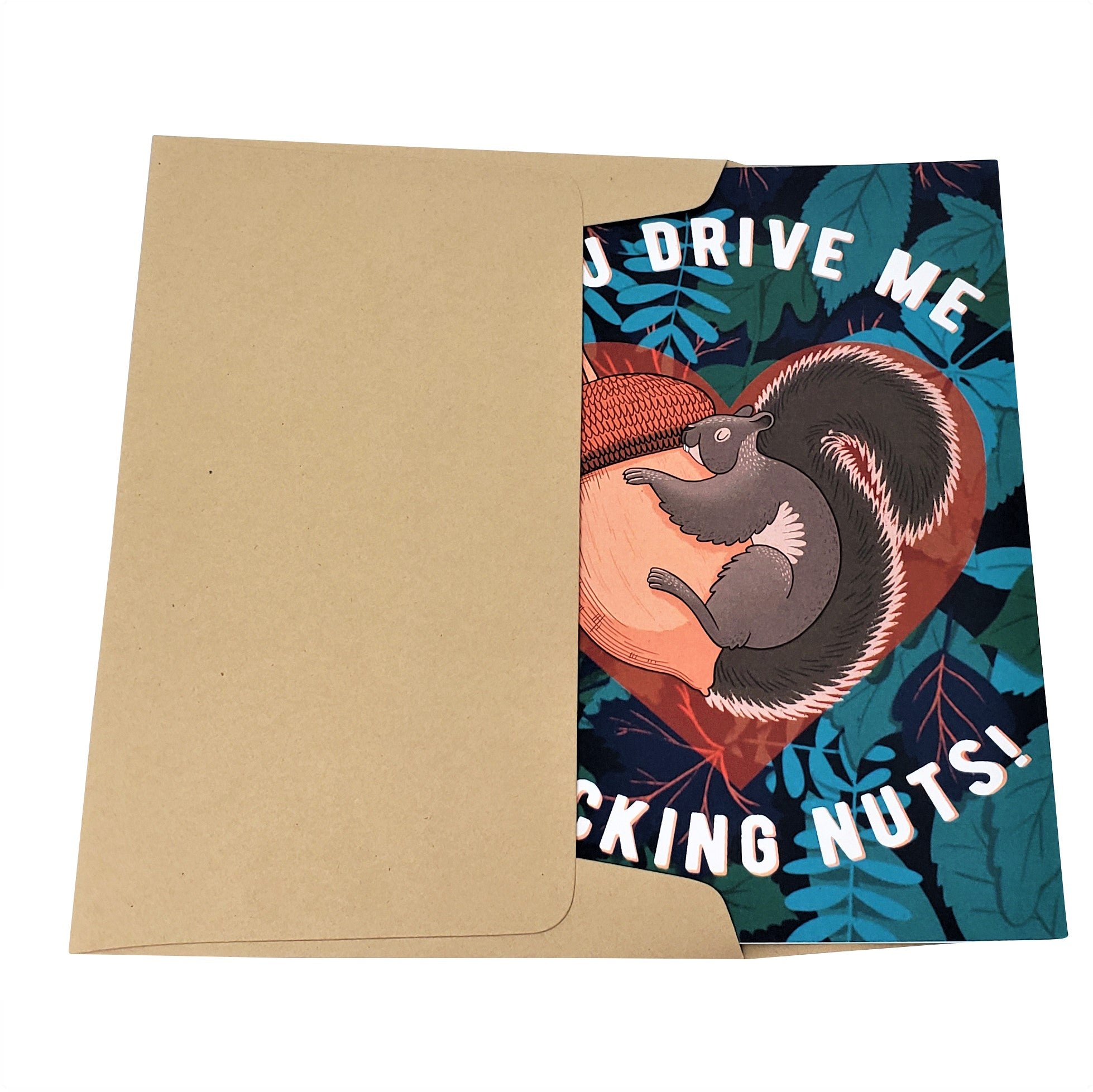 You Drive Me Fucking Nuts - Dirty Card - Naughty Adult Greeting Card - Sleazy Greetings