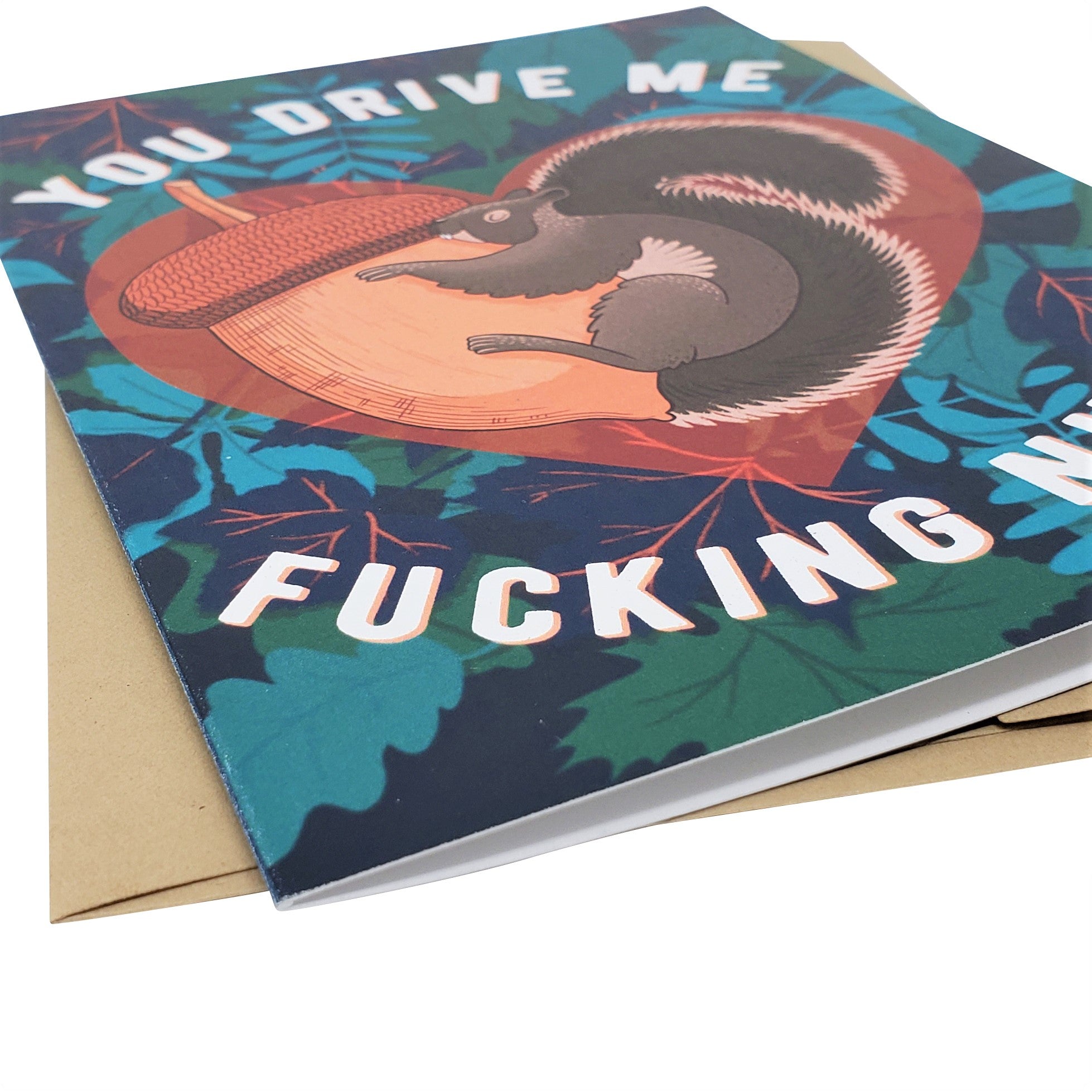 You Drive Me Fucking Nuts - Dirty Card - Naughty Adult Greeting Card - Sleazy Greetings